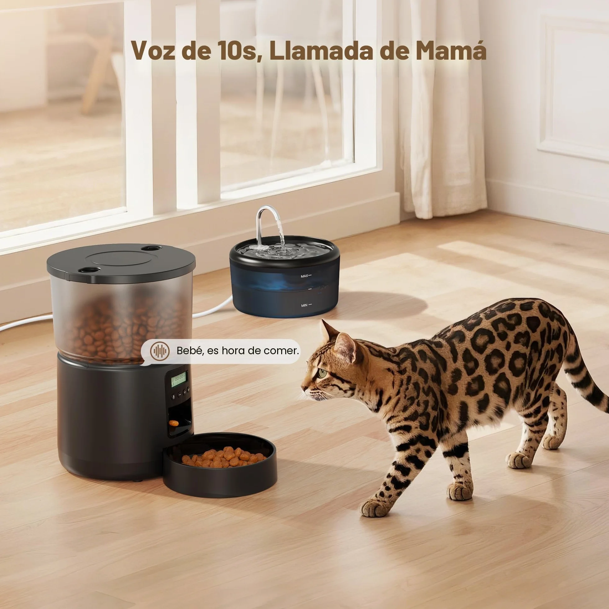 Comedero Gato Automatico y Fuente para Gatos: Dispensador Comida Gatos con Programable Temporizador 6 Comida al Día - 3L Alimentador Perro y 2.4L Bebedero para Pequeño/Mediano Mascota - 10S Grabación