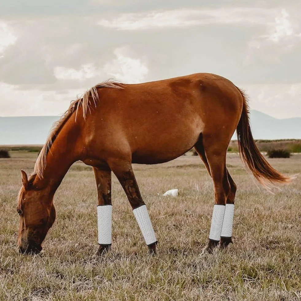 Botas De Malla contra Moscas para Caballo 4 Piezas Botas De Caballo De Malla Transpirable Envolturas Protectoras para Patas De Caballo Leggings De Caballo para Prevenir Moscas