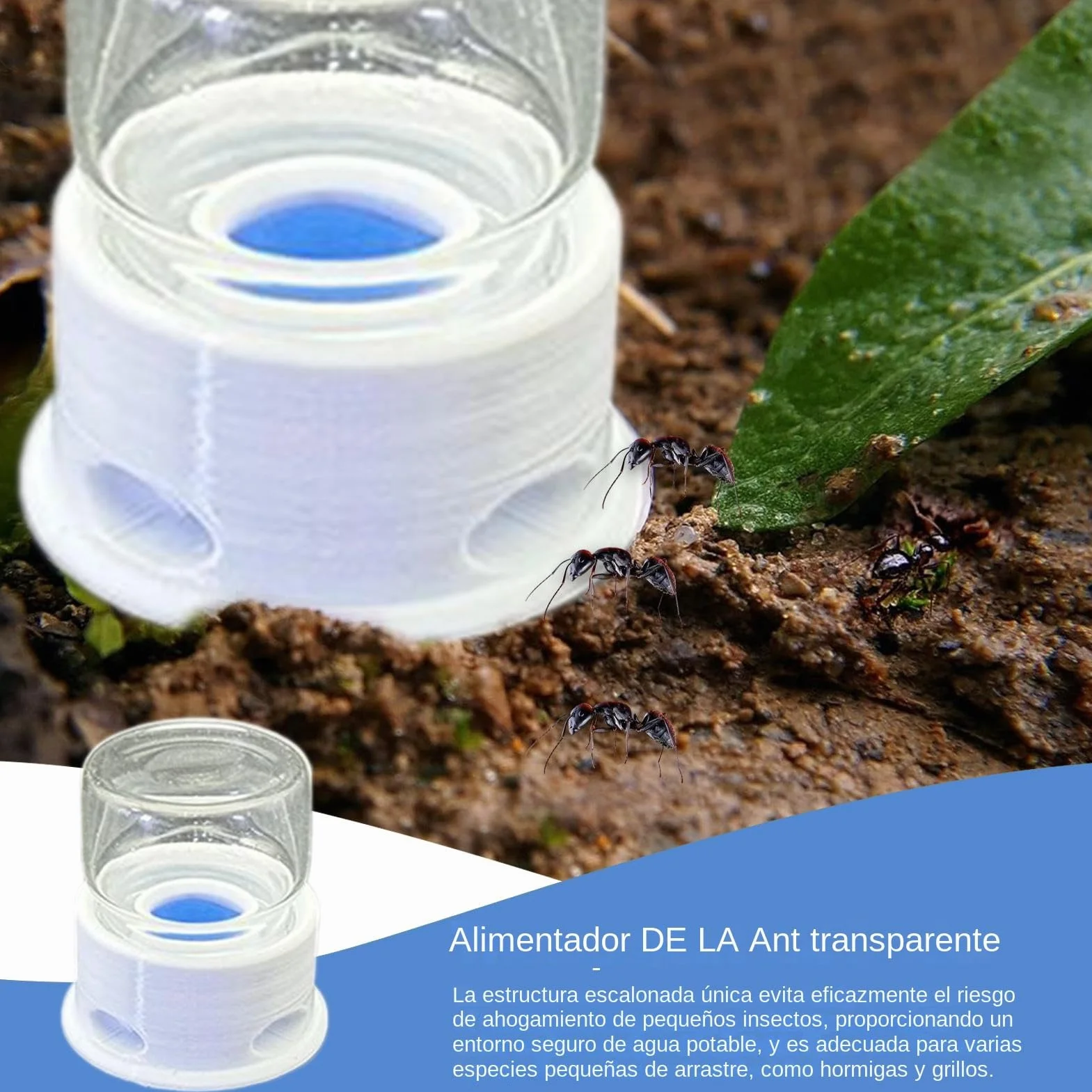 Transparente para Hormigas | Estación De Agua para Abejas | Bebedero Multifuncional Transparente para Abejas, Granja, Exterior y Aula