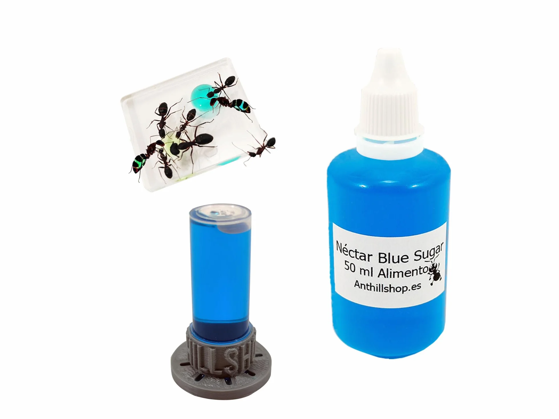 Kit Reemplazo -【Hormigueros de Arena】 -1kg - Néctar 50ml- Colonia de Hormigas Gratis, Piedras Decorativas - Semillas - Kit Alimentación Completa Incluida