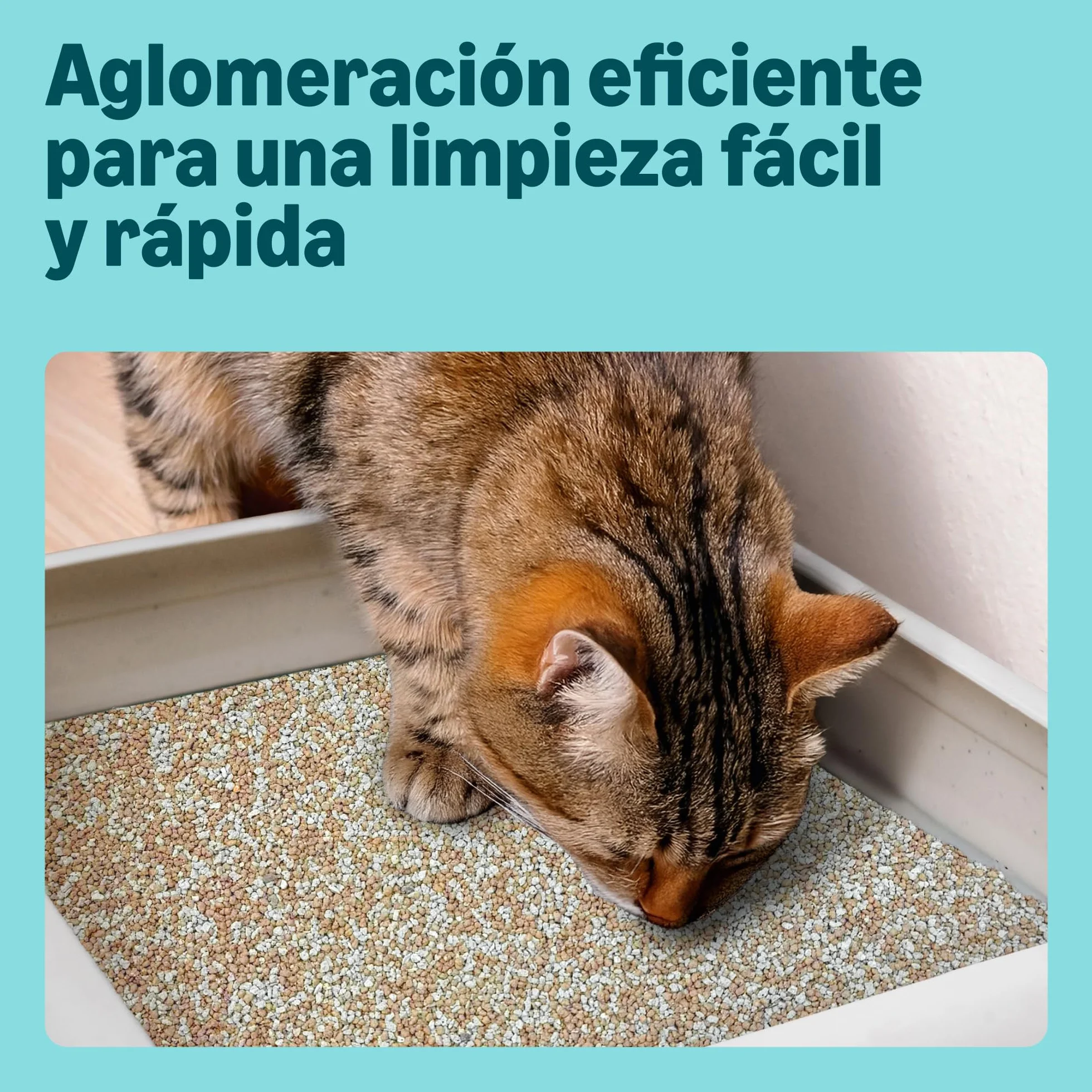 by Amazon Arenero Aglomerante Fino sin Perfume para Gatos, 10L (Paquete de 1)