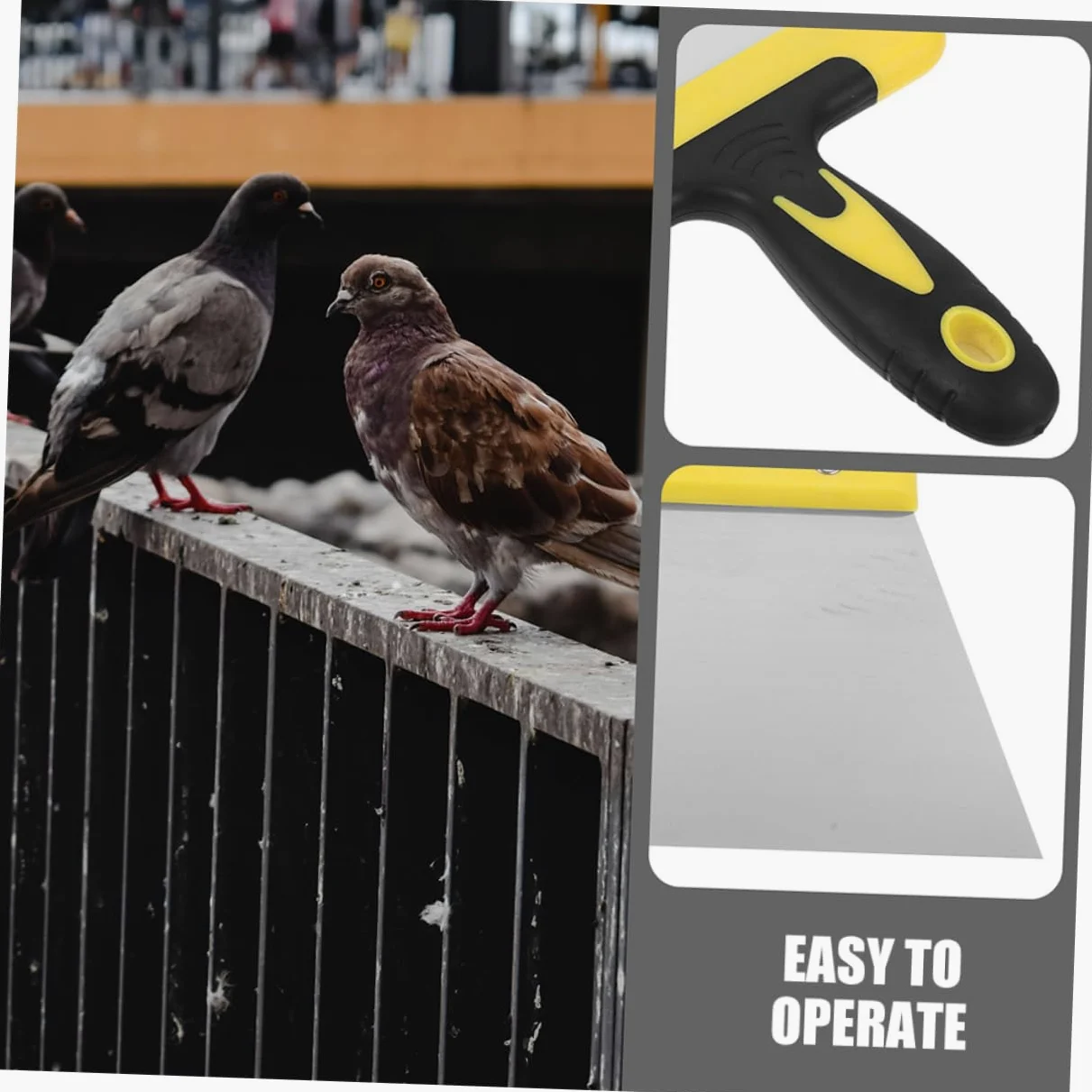 BESPORTBLE 10piezas Rascador De Excrementos De Pájaro De Acero Inoxidable Herramienta De Limpieza para Jaulas De Aves y Superficies Eficaz para Remover Excrementos De Aves