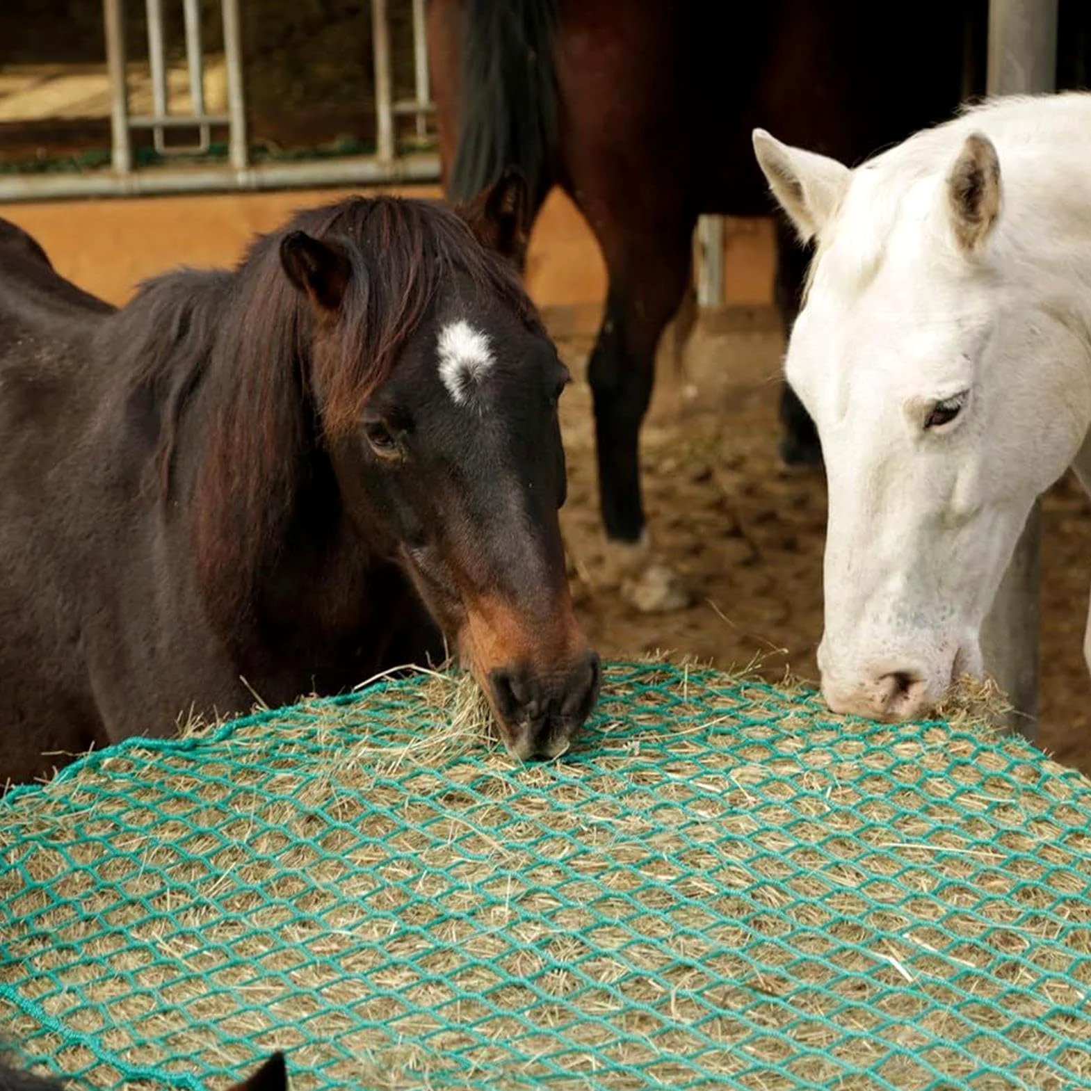 Redes De Heno De Alimentación Lenta Para Caballos Bolsita Organizadora de | Red de Alimentación de Heno para Vacas para Caballerizas Veterinarios Jinetes Cuadras Escuelas de E