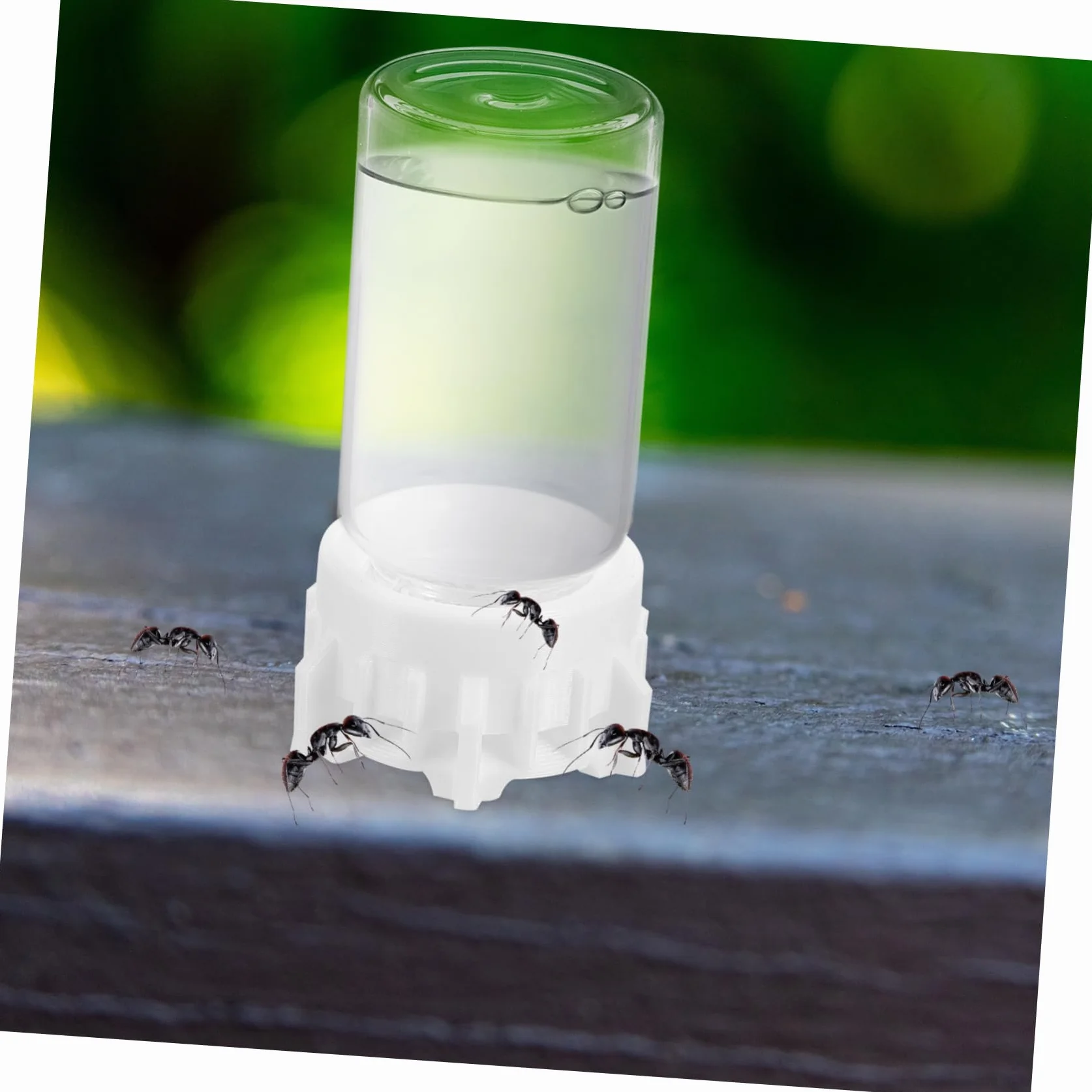 POPETPOP Bebedero para Hormigas de 20ml Diseño Profesional y Resistencia al Desgaste, Dispensador de Agua de Vidrio y Plástico Adecuado para Observación Científica en Verano