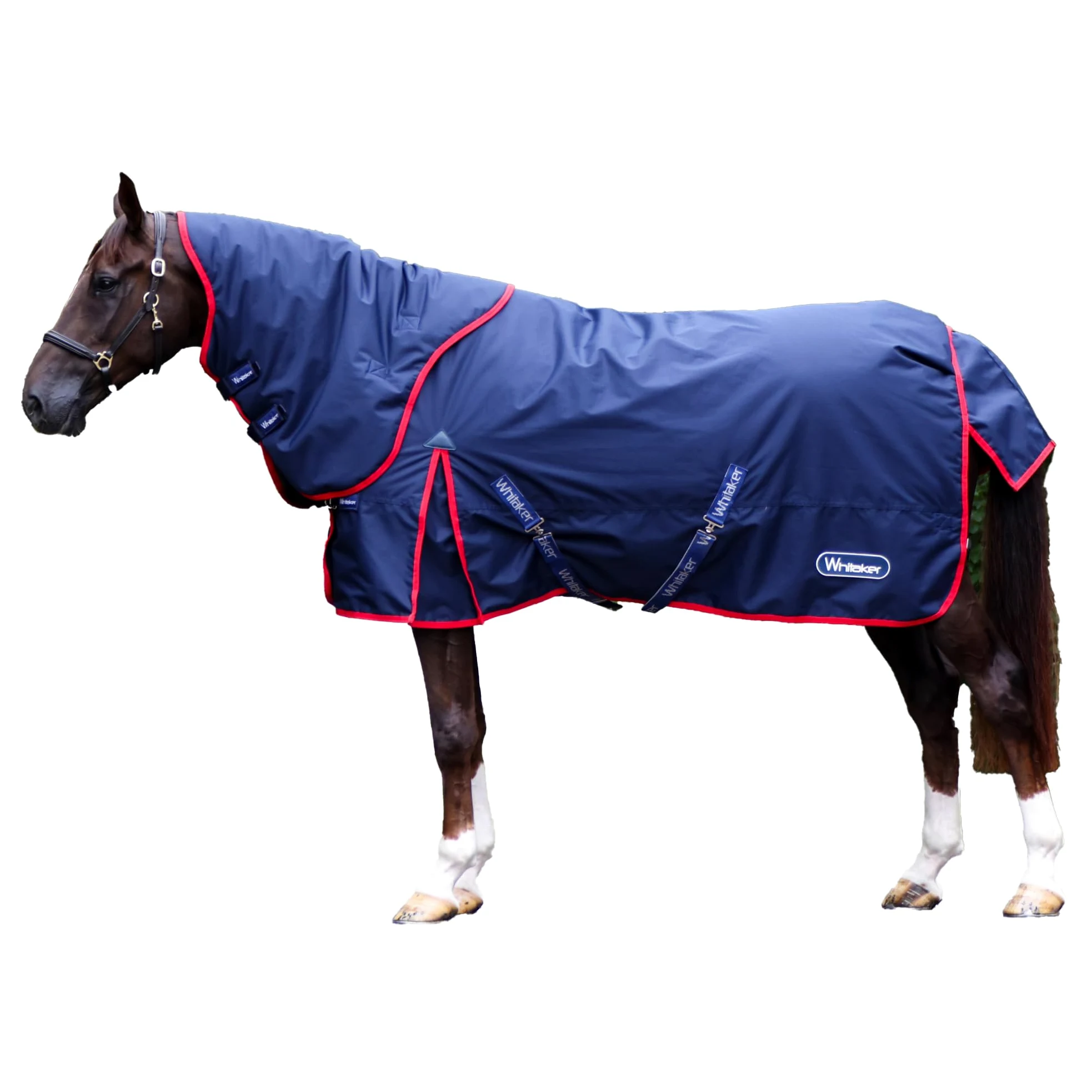 Whitaker Alfombra de cuello desmontable de 250 g