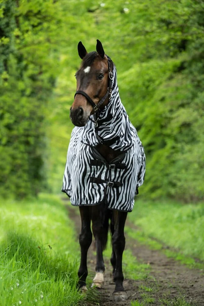 HKM Zebra Manta Anti-Moscas con Cuello Blanco/Negro 145