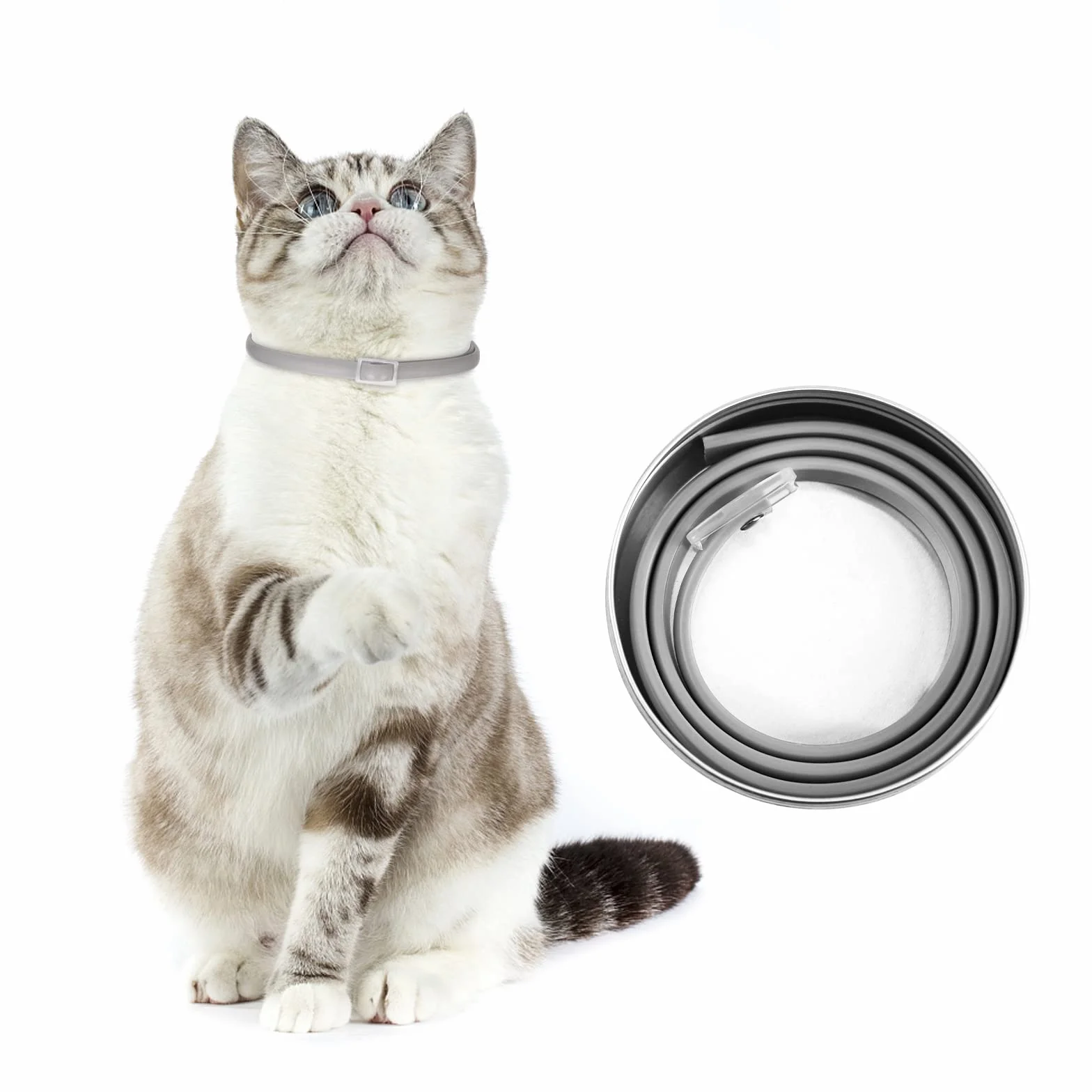 DEWEL Collar Gato contra Pulgas, Garrapatas y Mosquitos, Collar Antipulgas y Garrapatas 33 cm para Gatos y Perros Pequeños y Medianos, 8 Meses de Protección