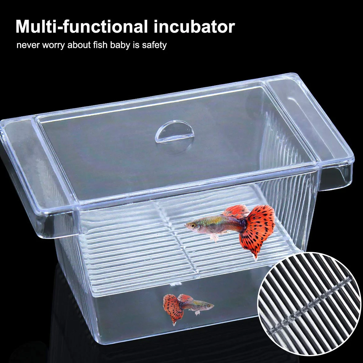 Incubadora para Peces Caja de Cría Peceras Pequeña Acuarios Accesorios con Tapa de Plástico Ventosa Caja de Plástico Transparente para Camarón Tortuga