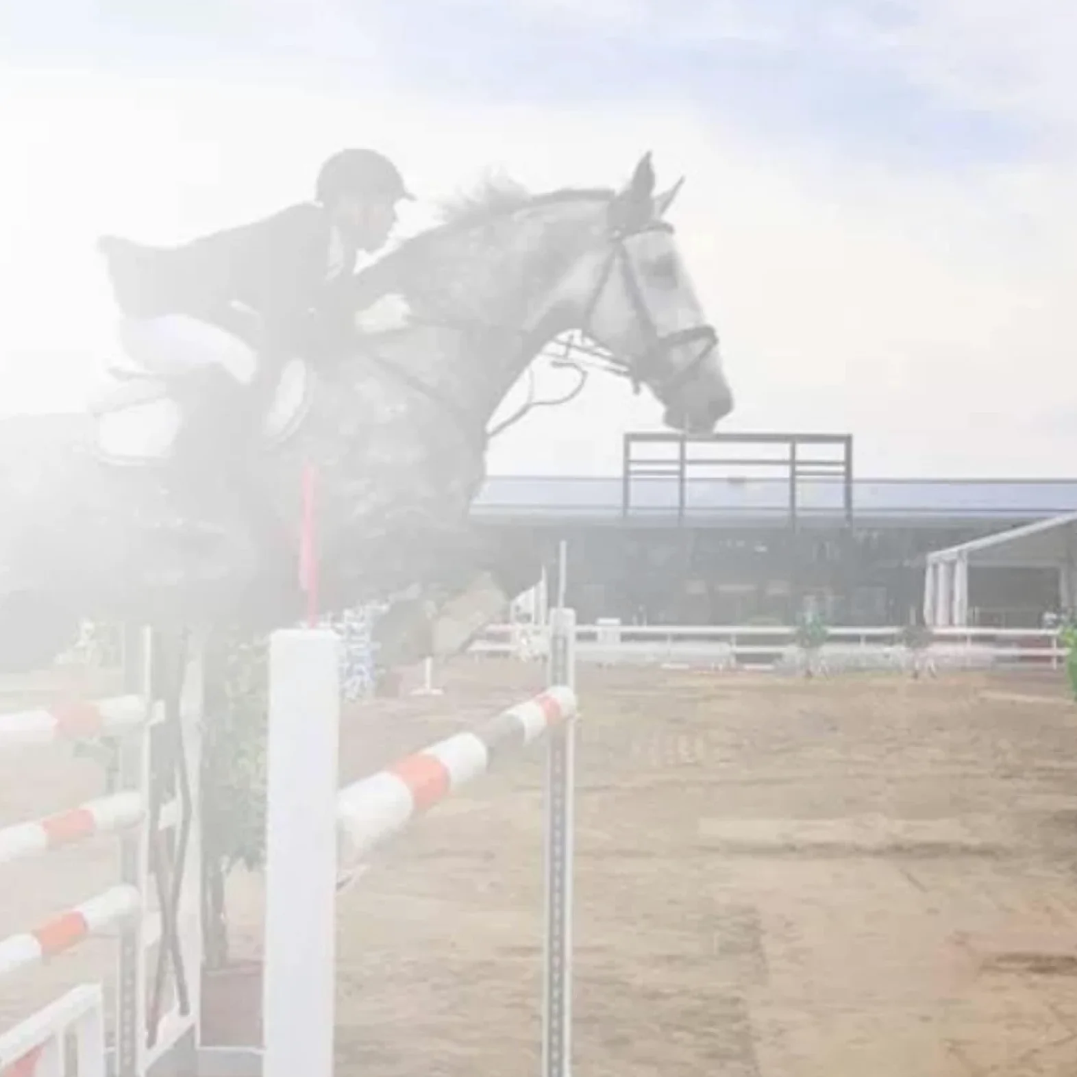 perfk Pista con Forma Ojo y Salto, decoración Ecuestre, Suministros Multiusos, Soporte para Salto, Taco Salto