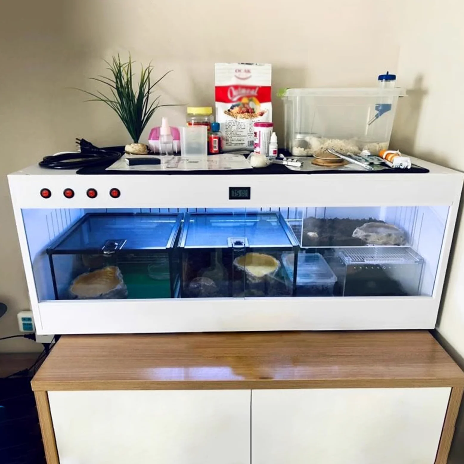 Tanque De Terrario De Vidrio para Reptiles Tanque para Mantener El Calor En Vidrio Panorámico Caja De Alimentación para Mascotas Jaulas De Hábitat Transparentes (Color : Blanco, S : 100x40x40cm)