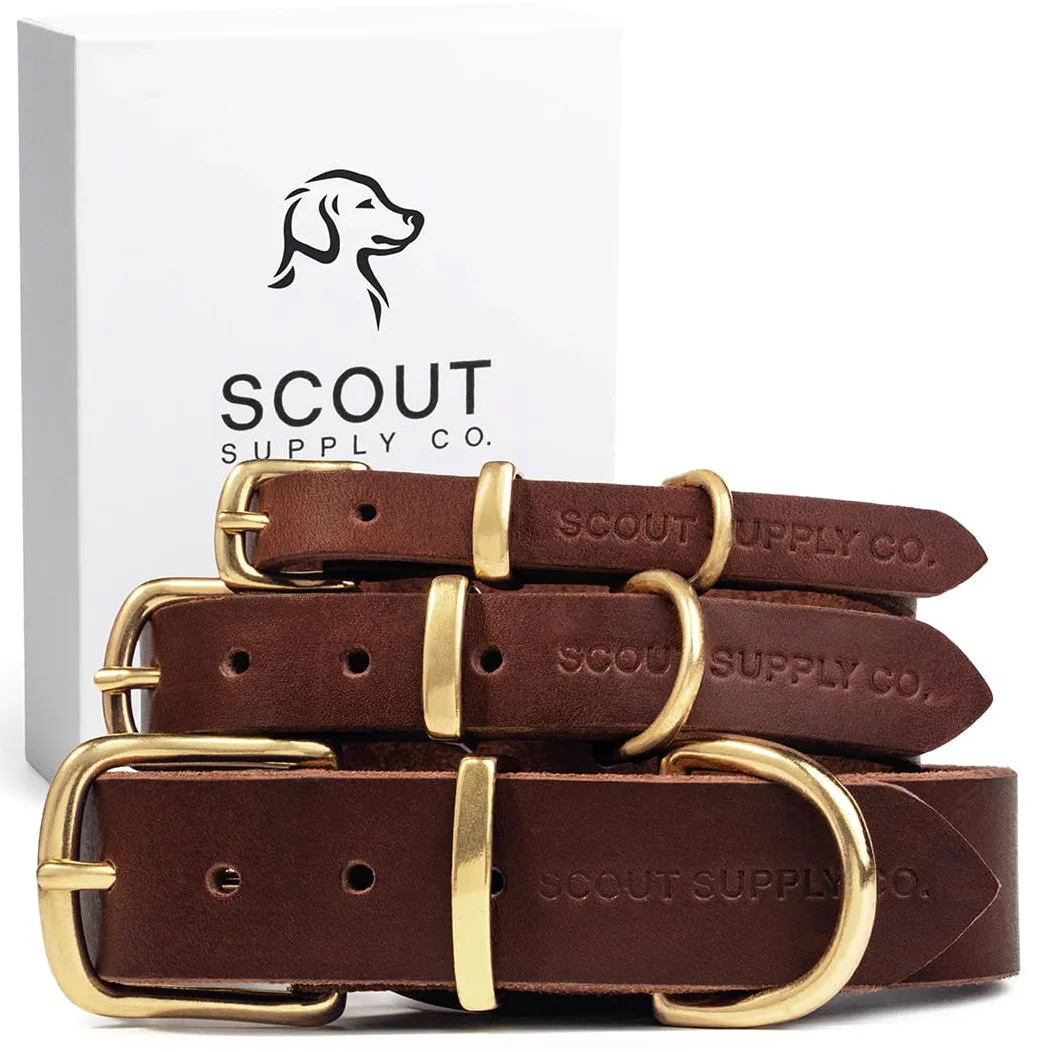 Scout Supply - Collar clásico de cuero para perro, cuero grueso de grano completo, herrajes de latón impermeable y resistente al óxido (marrón oscuro, pequeño)