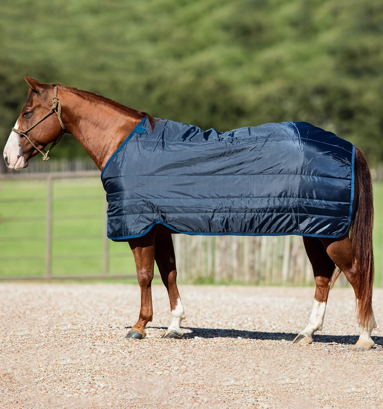 Horseware Liner 100g