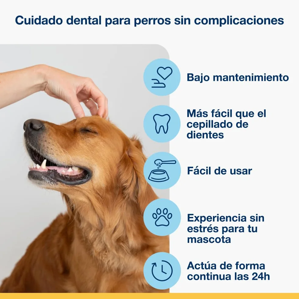 ProDen PlaqueOff Perros y Gatos en Polvo 60g, Limpieza Dental con 100% Alga Natural, Limpiador de Sarro Dental y de Placa, Elimina Eficazmente el Mal Aliento en Mascotas, Hasta 6 meses de duración