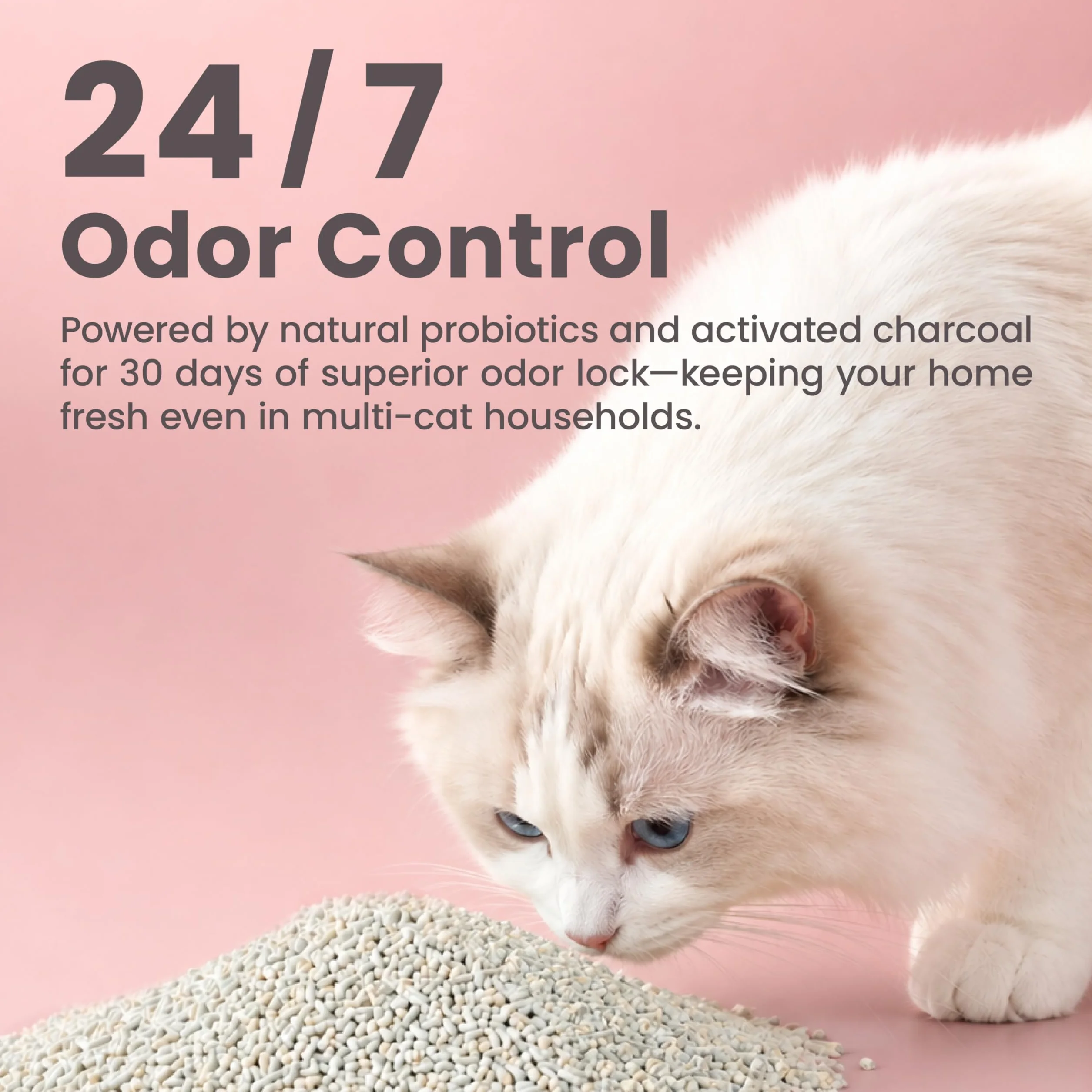 Lady N Cat Attract - Arena de tofu - Fórmula atrayente natural para entrenamiento de cajas de arena, feromonas calmantes para hogares con varios gatos, forma clásica de pellets para caja de arena