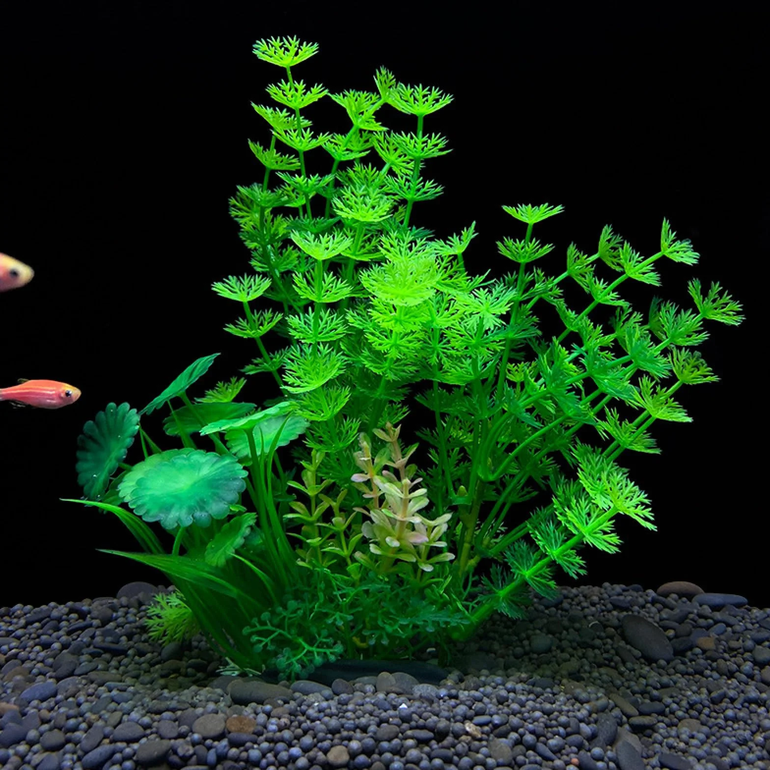Adornos Artificiales de plástico for Plantas acuáticas, Accesorios simulación for pecera, 3 Piezas C