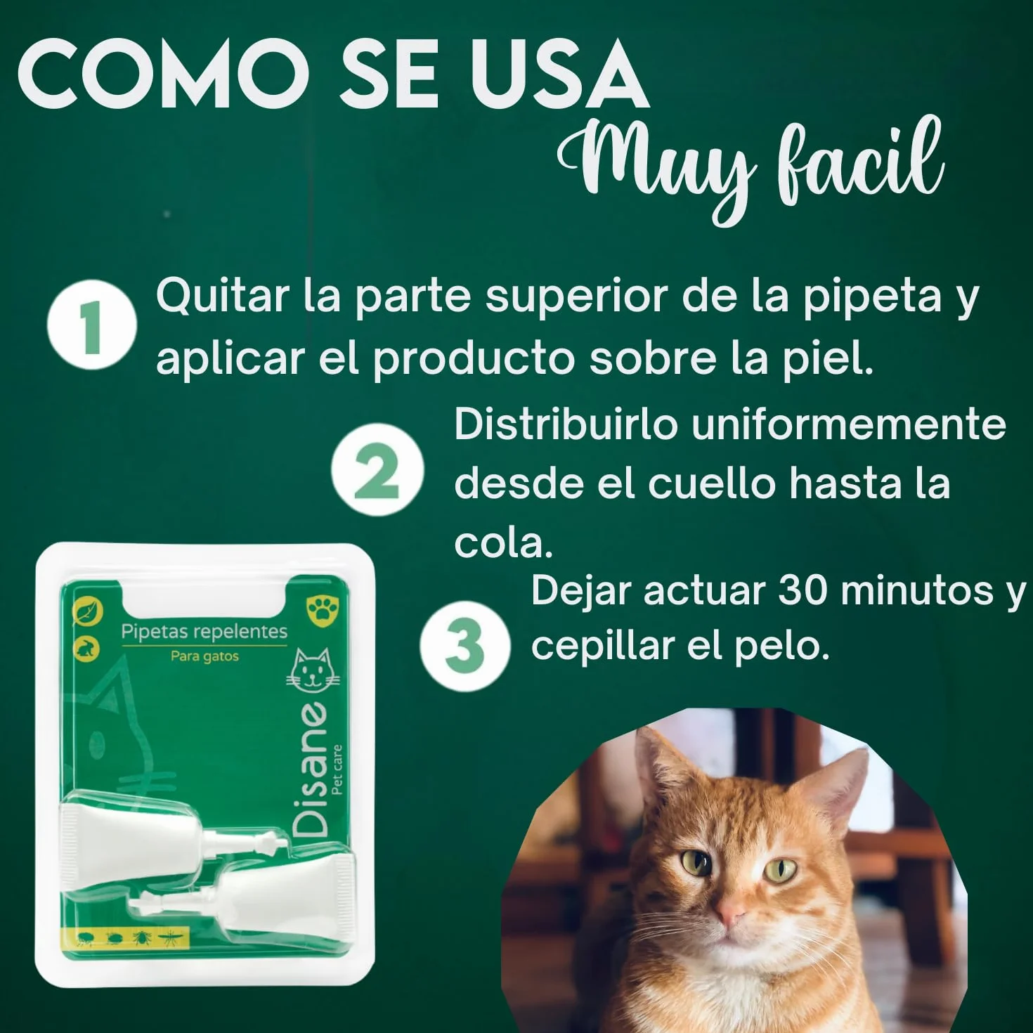 DISANE Pipetas Antiparasitarias para Gatos 100% Naturales | 2 Uds | 2 Meses de Protección contra Insectos y Parásitos: Pulgas, Garrapatas y Mosquitos | Antipulgas Sin Toxicidad para el Gato
