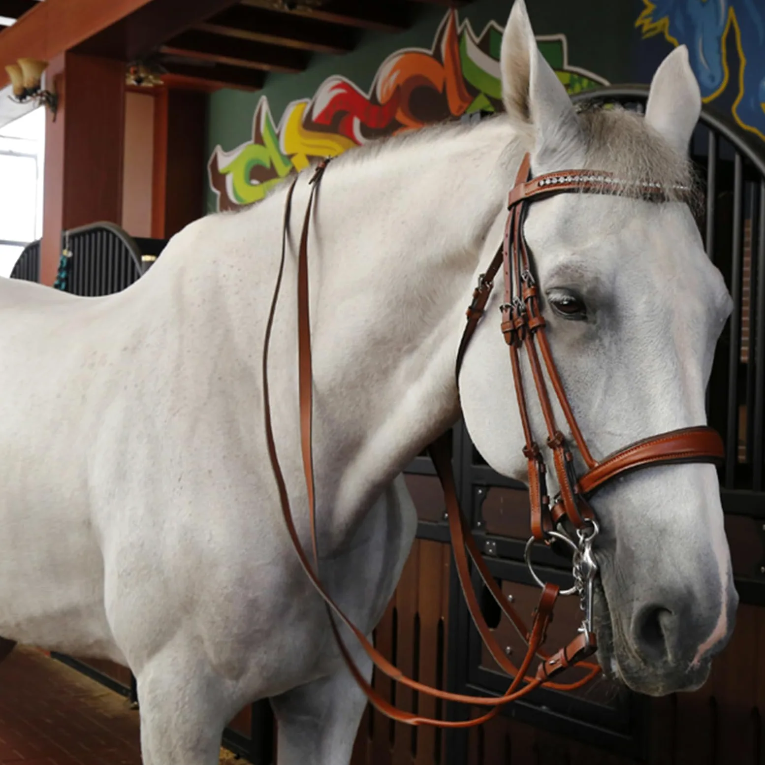 Cabestro de caballo y cuerda de plomo, material de cuero vacuno con diamantes de imitación para uso ecuestre
