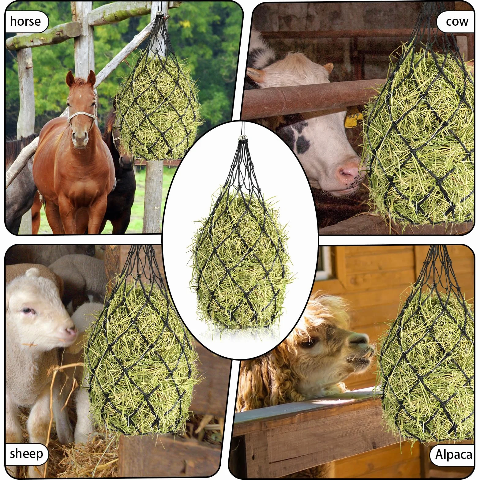 Red de Heno para Caballos, Dwafill Red para Heno - Malla 12,5 x 12,5 cm, Apto para Caballos Grandes, Apto para Pastos, Heno, Red de Heno para Caballos Prime, Ahorra En Costes de Alimentación (Negro)