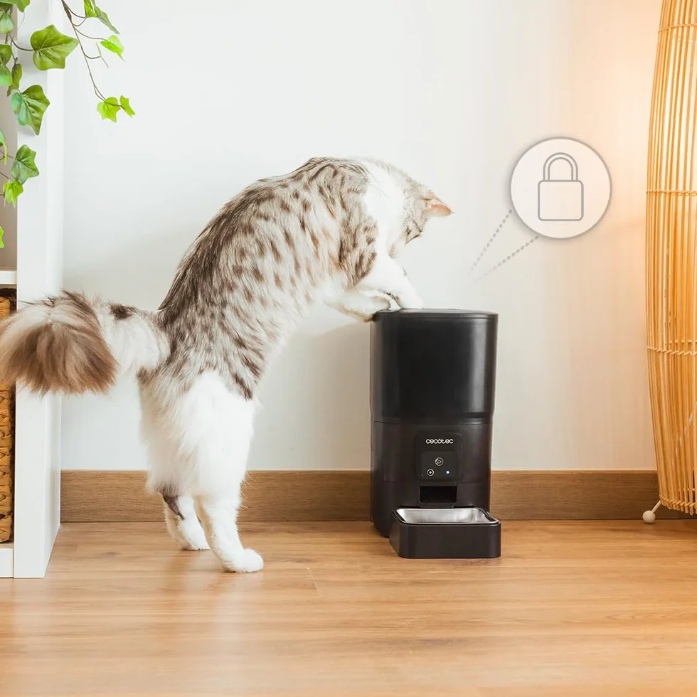 Cecotec Comedero Dispensador Automático para Mascotas con Control WiFi Pumba 6000 Purrfect Meal Smart. 6 litros de Capacidad, Control de Porciones, Comida de hasta 10mm, Cuenco de Acero INOX