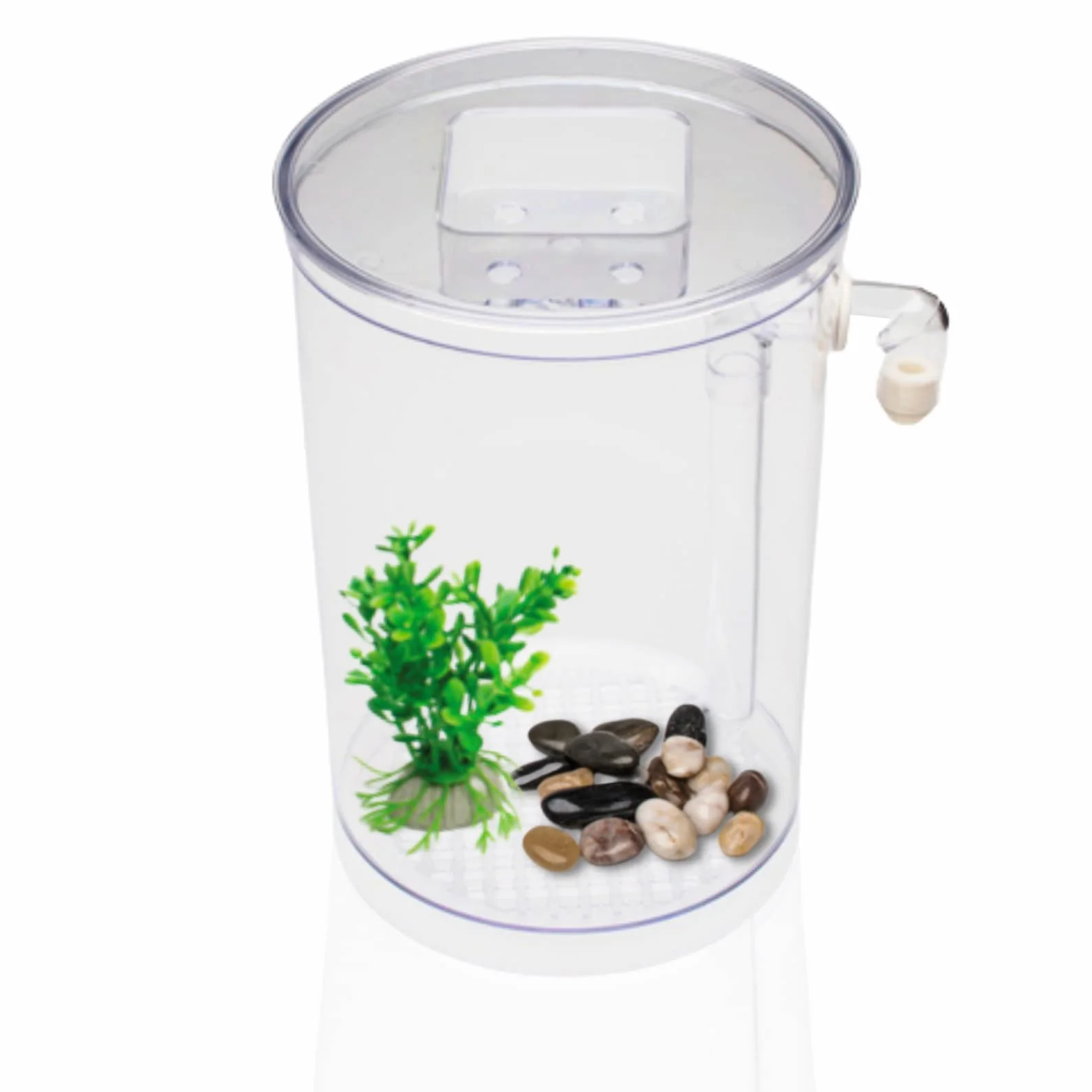 Fish Wonder Acuario Autolimpiador con Luz LED | Mini Acuario con Sistema de Limpieza Incorporado, Piedras y Plantas Decorativas | Agua Clara Siempre | Fácil Mantenimiento – Ideal para Niños y Hogar