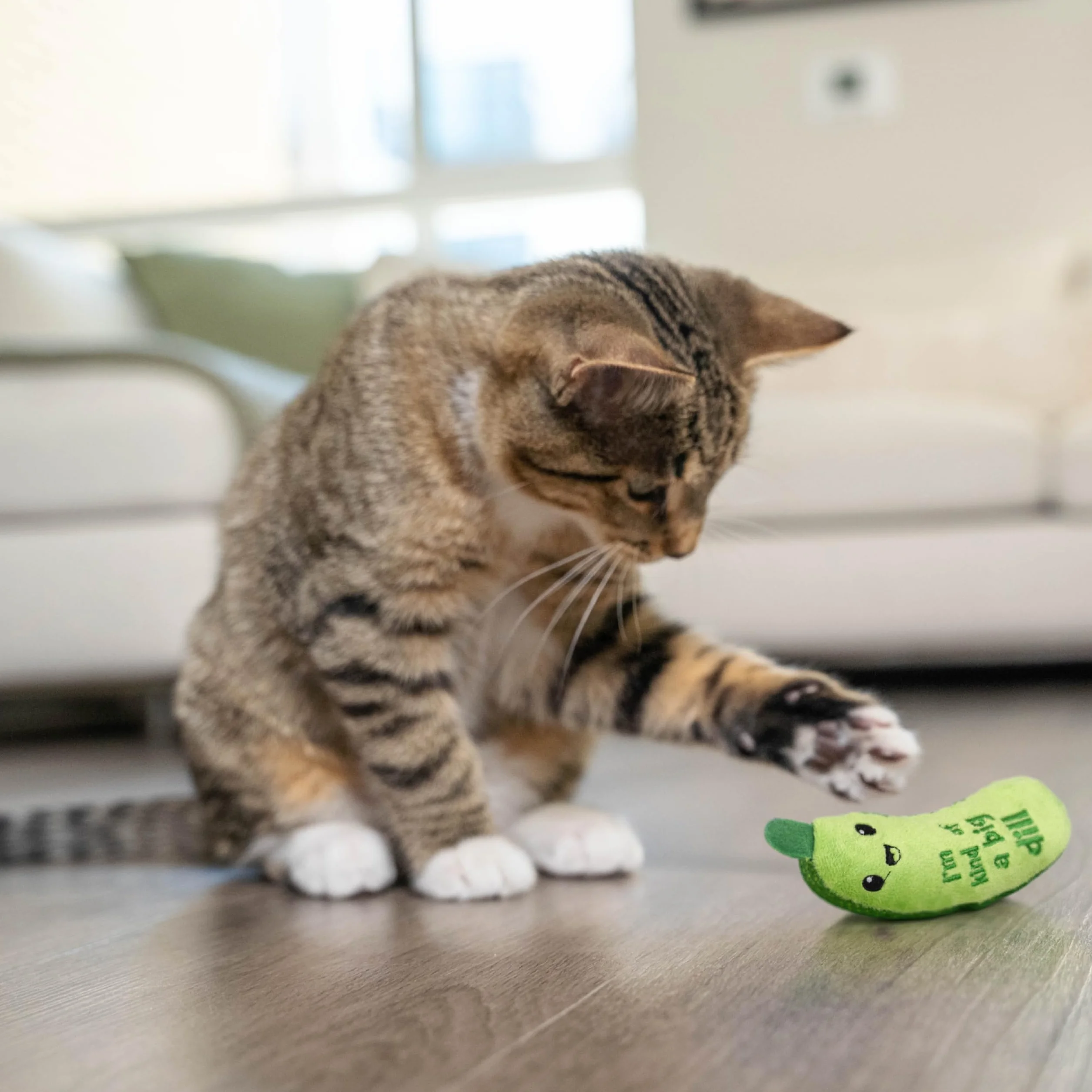 Petstages Juguete Dental crujiente para Gatos con Hierba gatera
