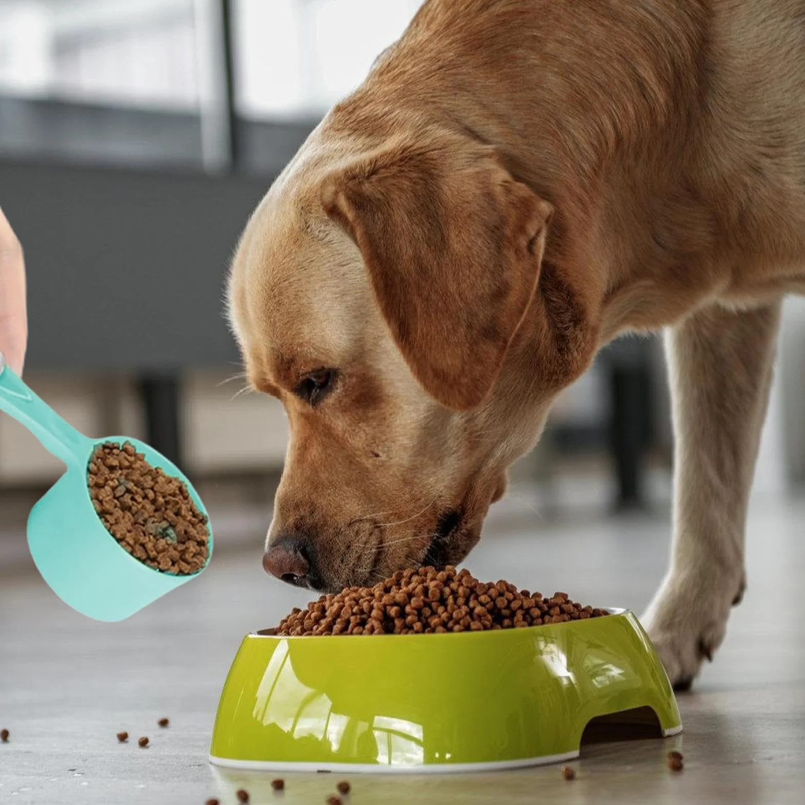 Cuchara medidora de comida para perros – Cuchara de melamina de 100 g de capacidad para cachorros | Cuchara de alimentación para mascotas con agarre cómodo, pala de control de porciones para