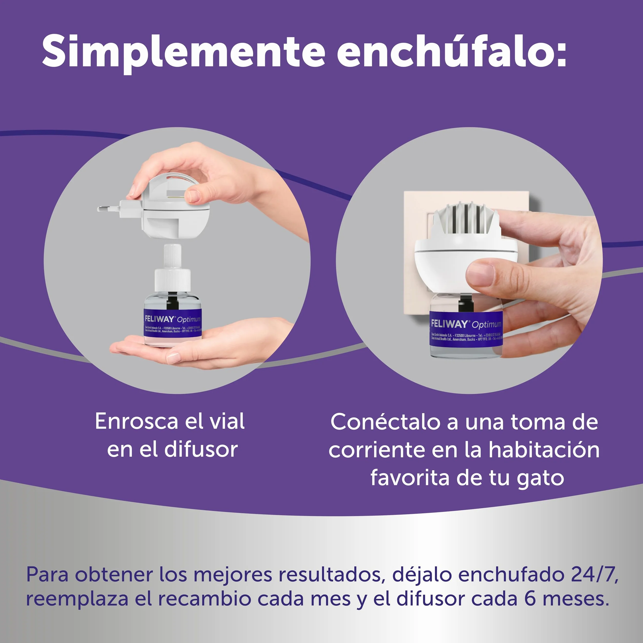 FELIWAY Optimum - Difusor + Recambio de feromonas calmantes para gatos (30 días, 48 mililitro) - Ayuda a reducir los signos más comunes de estrés. Recomendado por veterinarios. La mejor tranquilidad