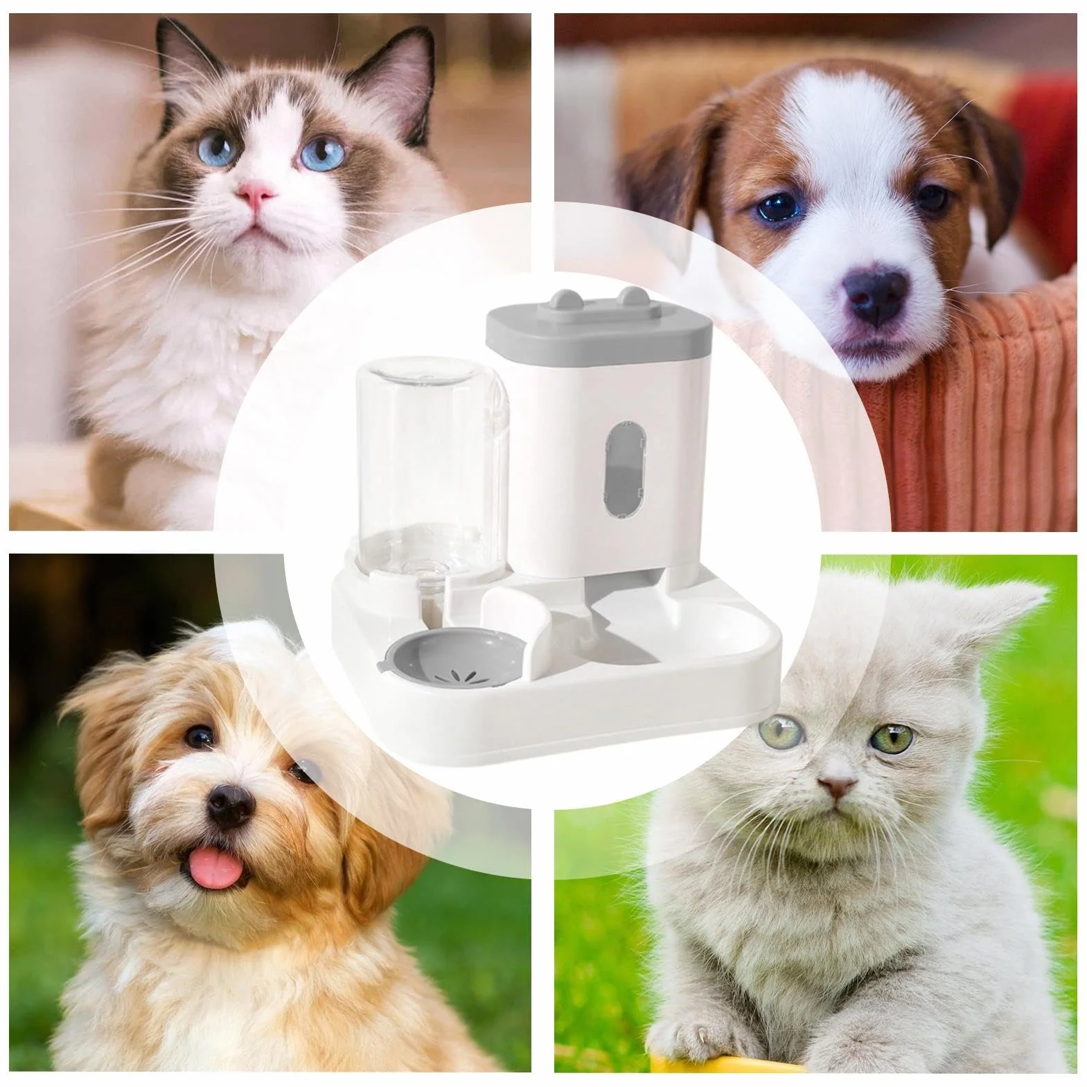Comedero para Mascotas, Cuenco de Agua automático | Comedero for Gatos, Pienso Seco, Perro, Hidrata con Nuestro automatisc