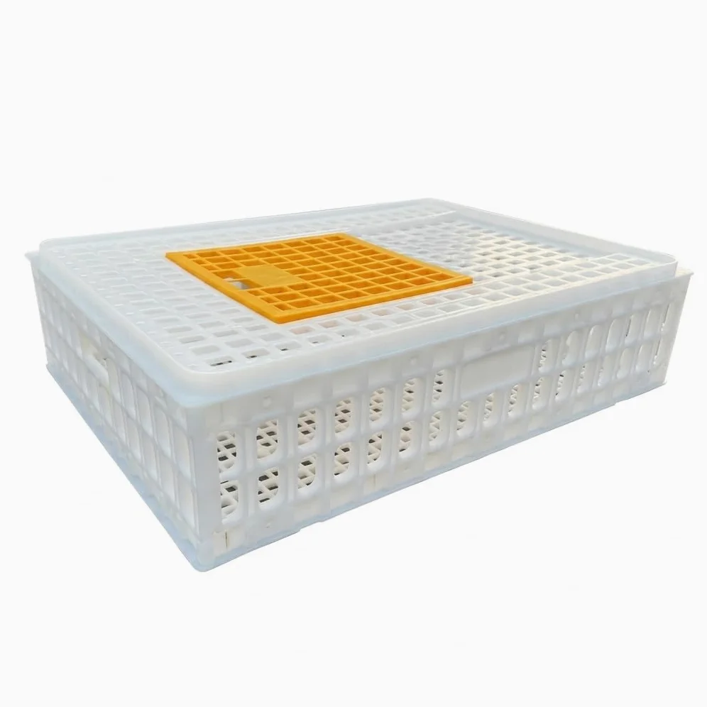 Jaula Transporte para Aves Conejos, transportín plástico Resistente para gallinas, s, s y codornices, Blanco