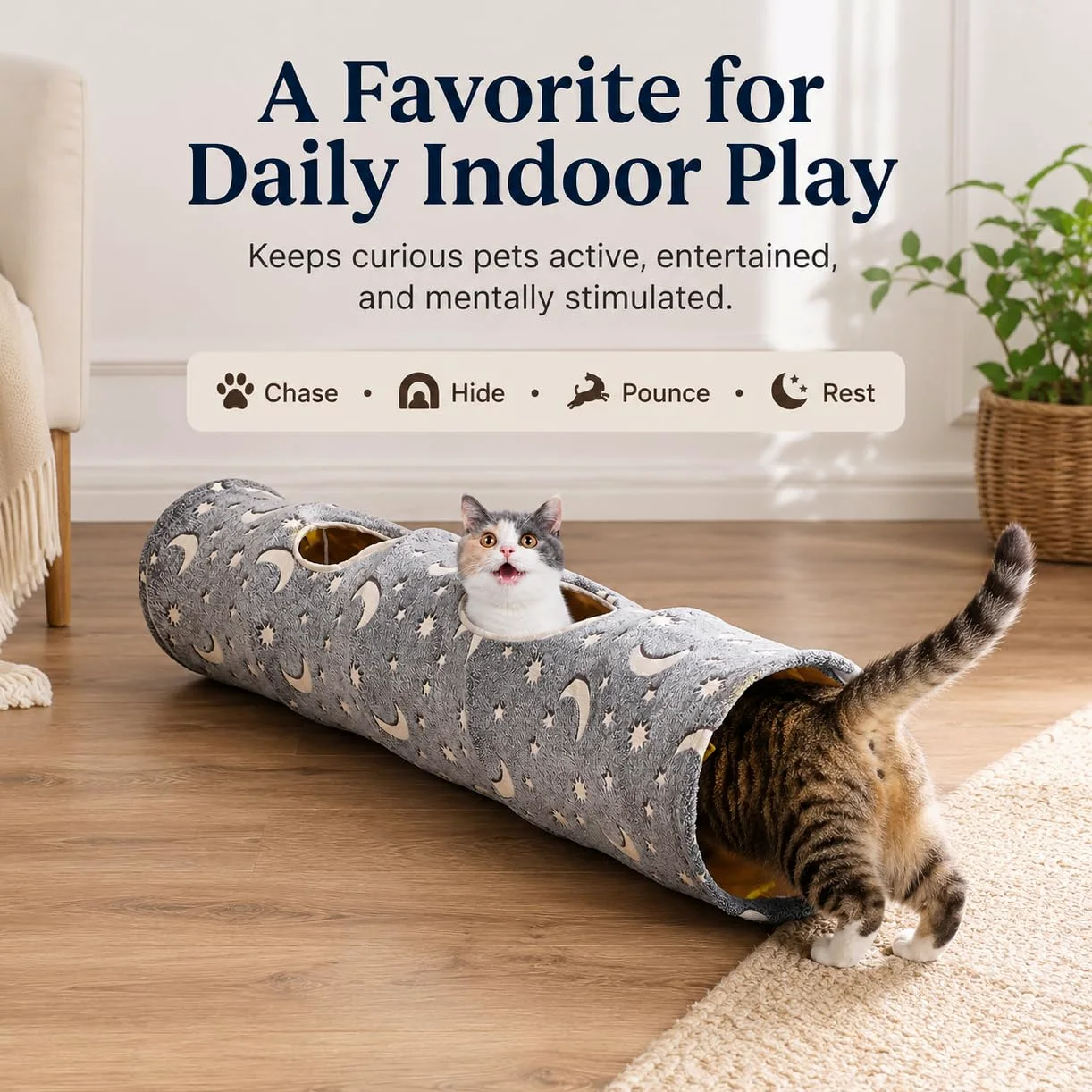 Tubo de túnel de gato con bola de peluche, plegable, fotoluminiscencia luminosa, para mascotas pequeñas, conejos, gatitos, hurones, cachorros y perros, estrella de luna gris