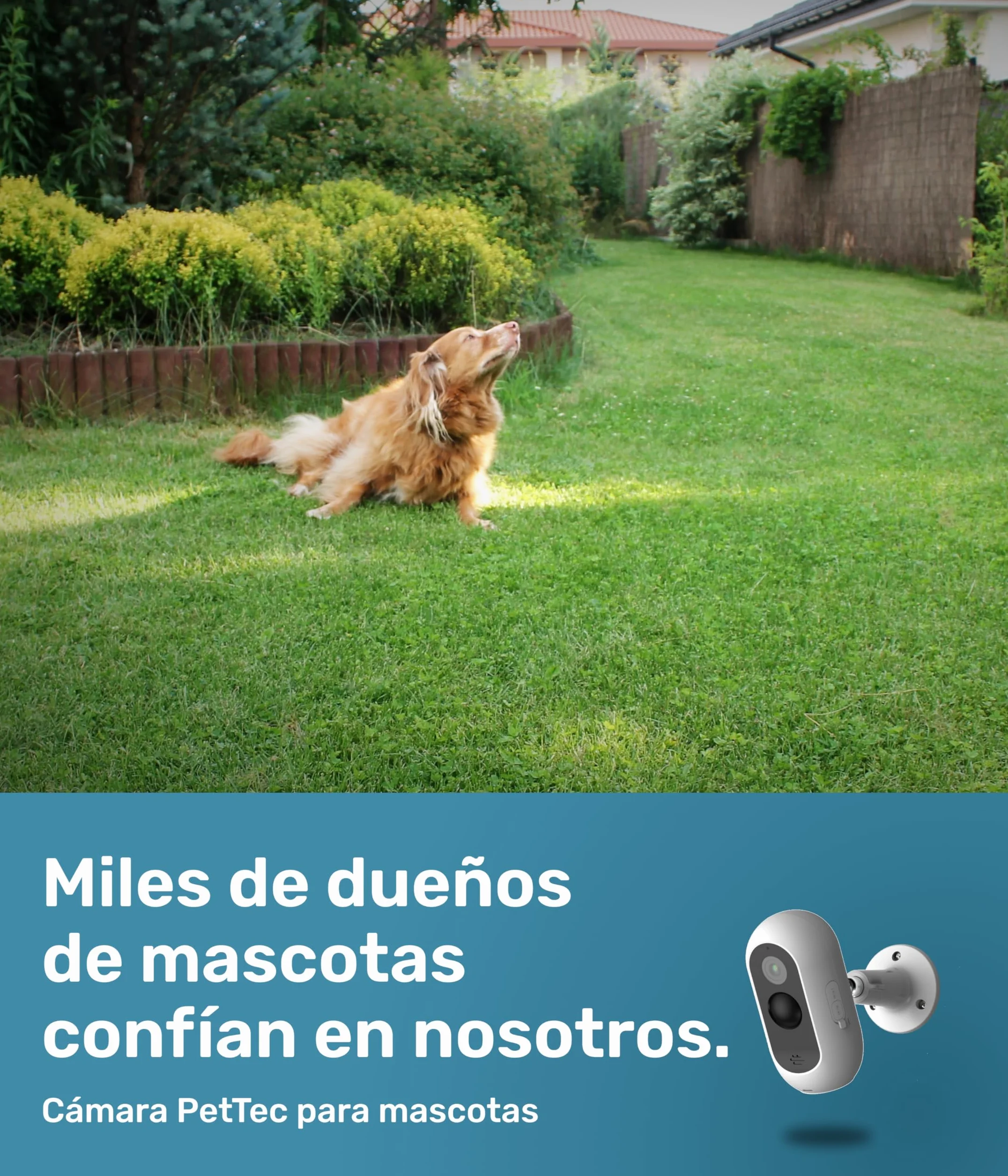 PetTec® CAM Free - Cámara Inalámbrica para Mascotas con App [SIN SUSCRIPCIÓN] - para Gatos y Perros, Interior/Exterior - Detección de Movimiento, Función de Voz - Batería hasta 9 Meses sin Cargar