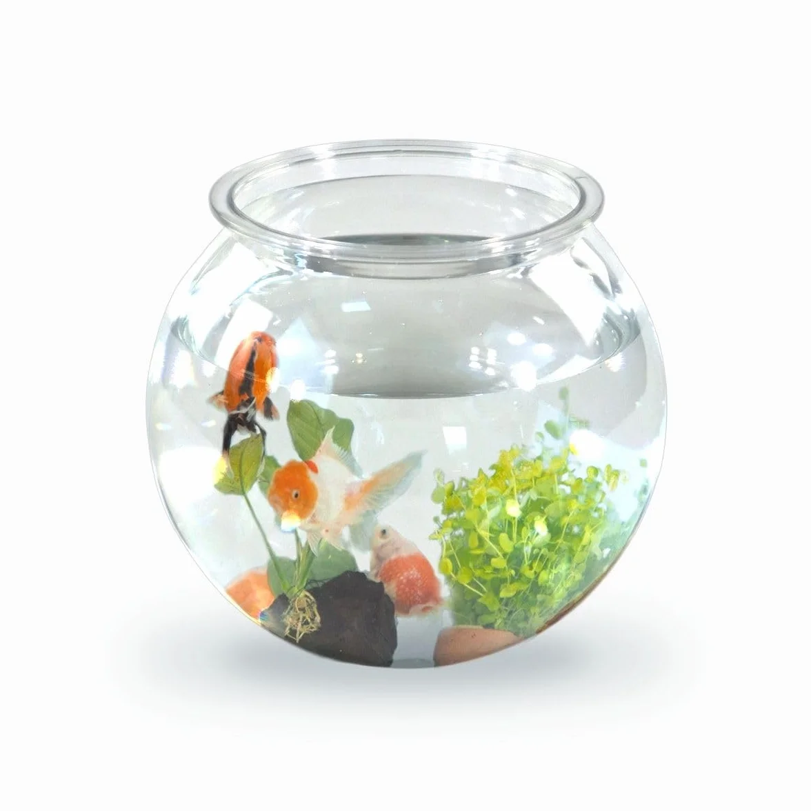 Mobiclinic® Pets, Pecera pequeña, Nemo, 4 litros, Plástico Pet Eco, Redonda, Diseño Transparente, 20x20x17, 5cm, Fácil Limpieza, Resistente, Ideal para decoración del hogar, Hierbas acuáticas