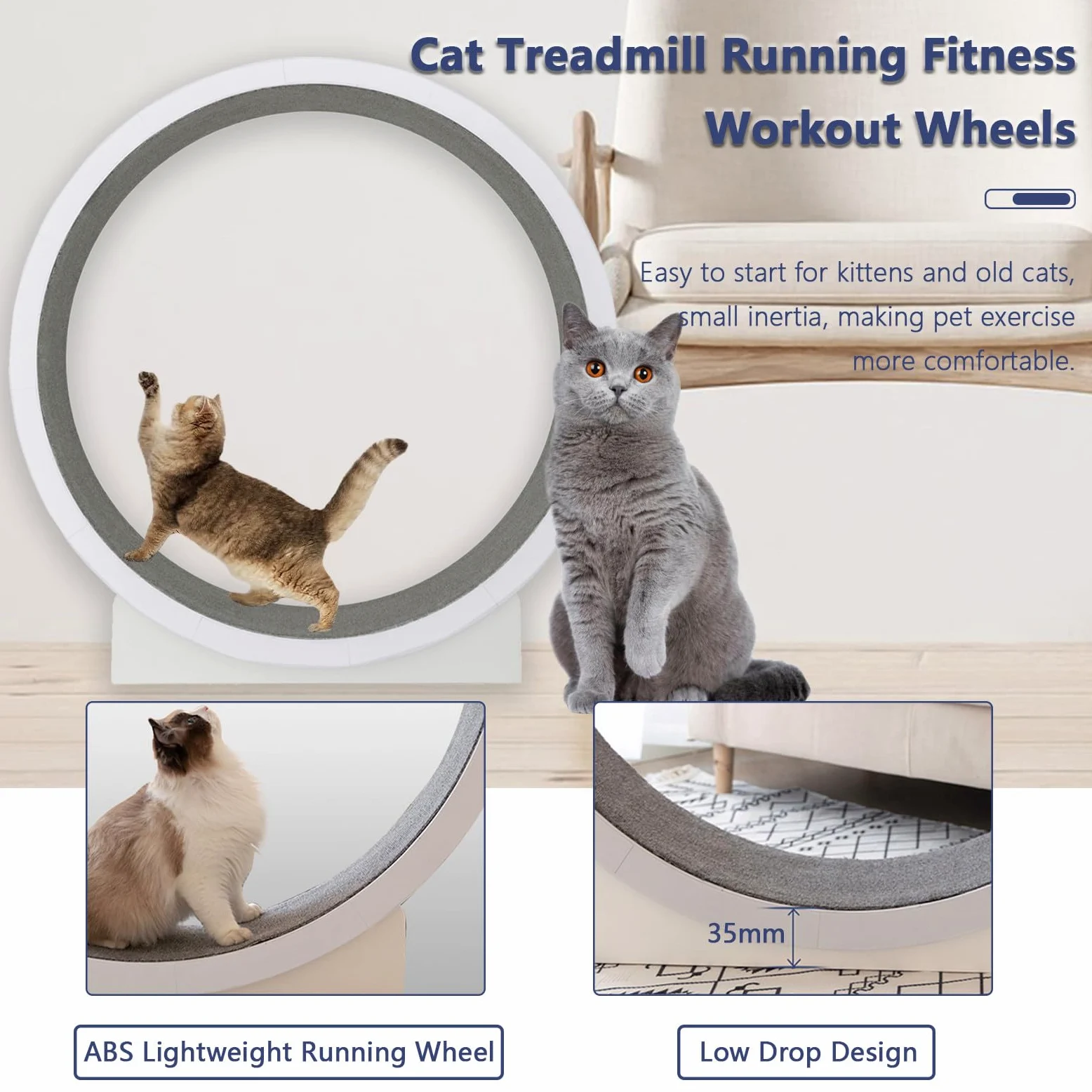 Rueda de Ejercicio para gatos Ruedas para gatos de Interior, Rueda para Correr para gatos con Pista alfombrada y Rueda silenciosa, Ruedas para hámster para gatos para Perder Peso y Salud