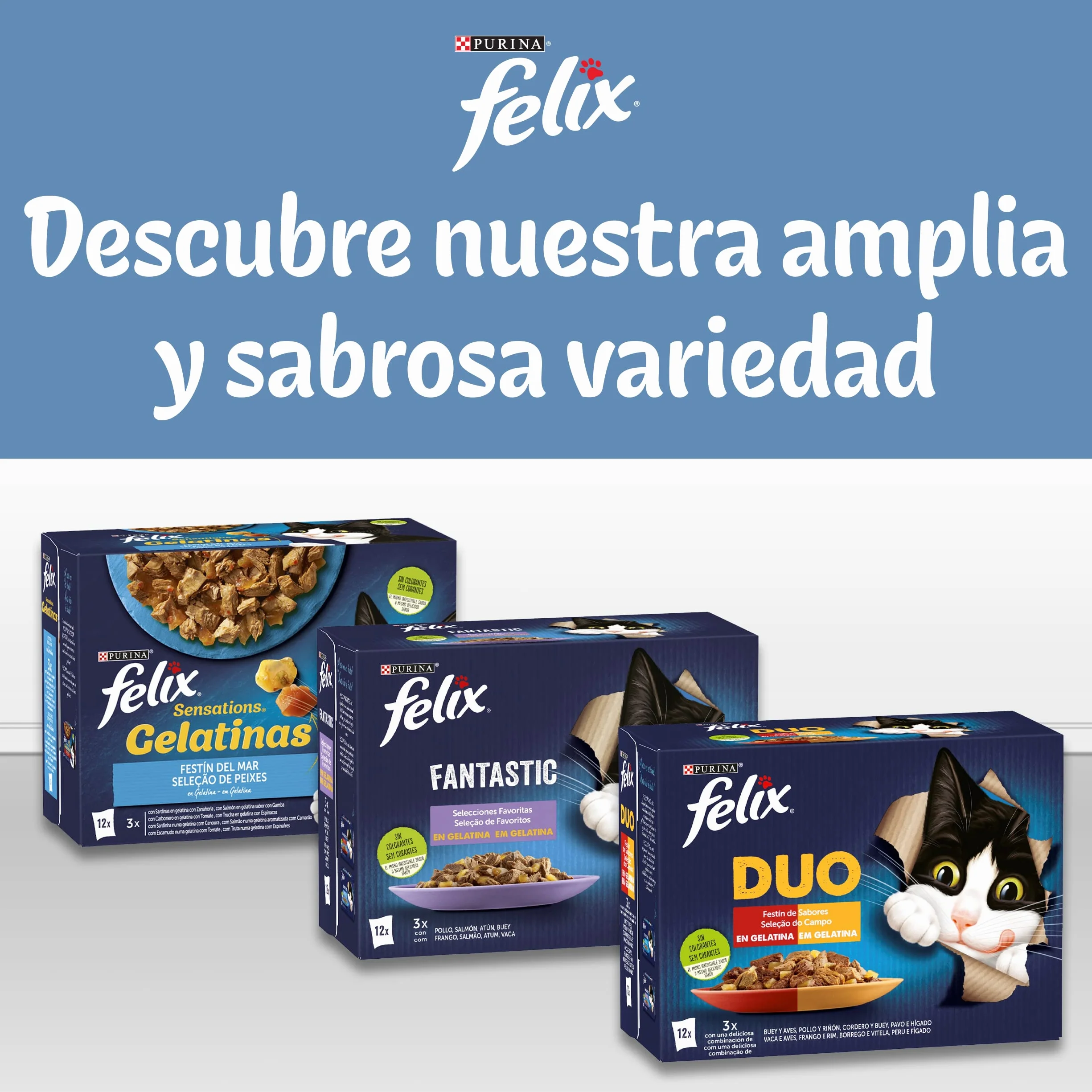 FELIX Original, Comida Húmeda para Gato Adulto, Gelatina, Surtido de Pollo y Buey, 12 Packs de 4 Sobres de 85 g. (48 Sobres)