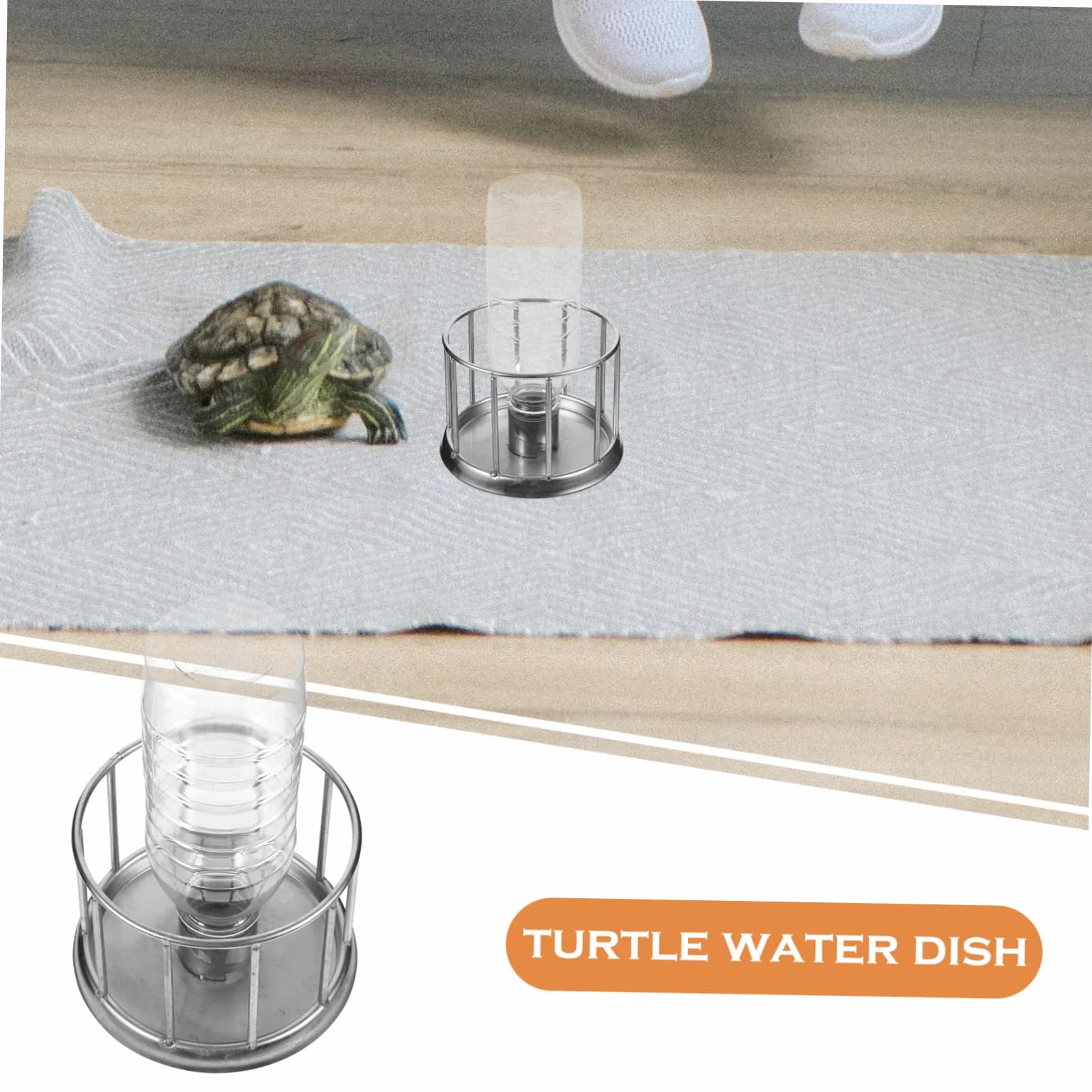 BESPORTBLE 5piezas Alimentador De Reptiles Inoxidable para Tortugas y Plato De Agua y Comida Accesorio para Terrario Diseño Antisalpicaduras y Conveniente