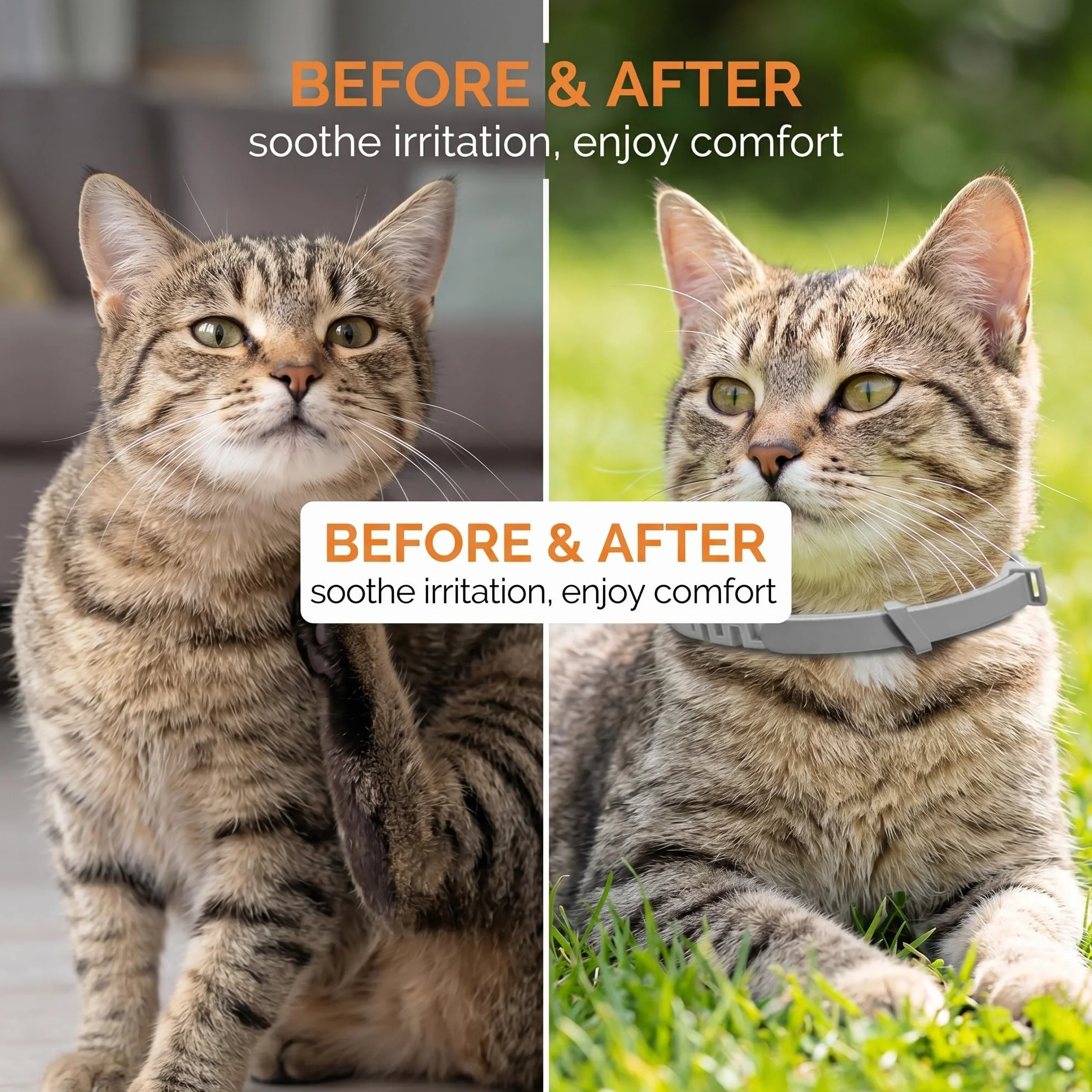 2 Collares Antipulgas Para Gatos, Collar Antiparasitario Seguro Y Eficaz, En Gris, Accesorio Para Mascotas, Protección Para Gatos