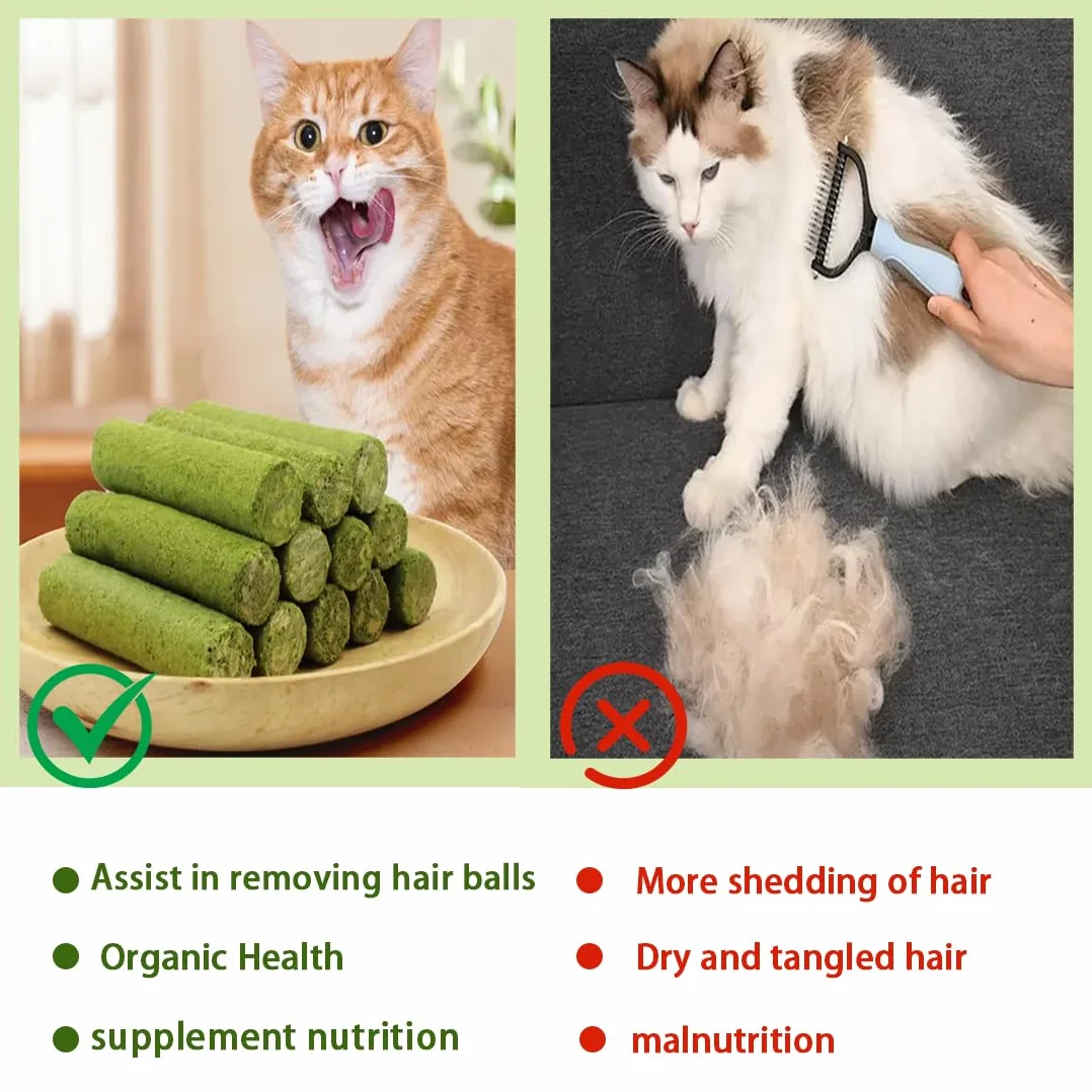 10 Pcs Snacks para Gatos 50g Snack Liofilizado con Hierba Gatera para Limpiar los Dientes