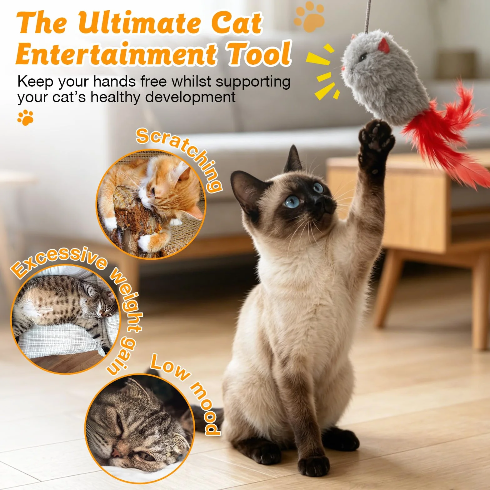 Romon Juguetes para Gatos, Set de 3 con Raton y Pájaro, Juguete Gatito Colgado de Puerta, Juguete Interactivo Gato con Cuerda Elástica Ajustable y Ganchos Adhesivos Transparentes