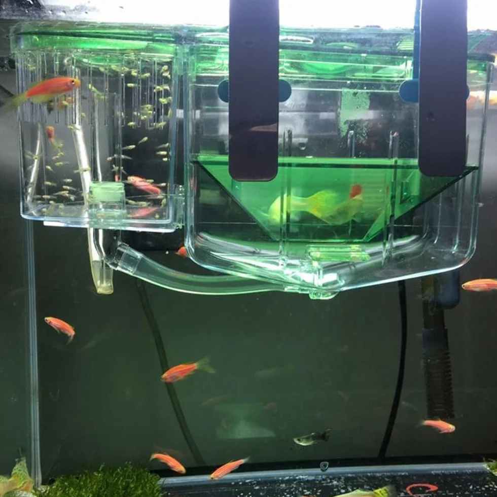 Caja de cría para acuarios Caja de cría de Peces de Doble Capa Caja de Aislamiento Incubadora de cría de alevines Incubadora de Aislamiento Segura para acuarios