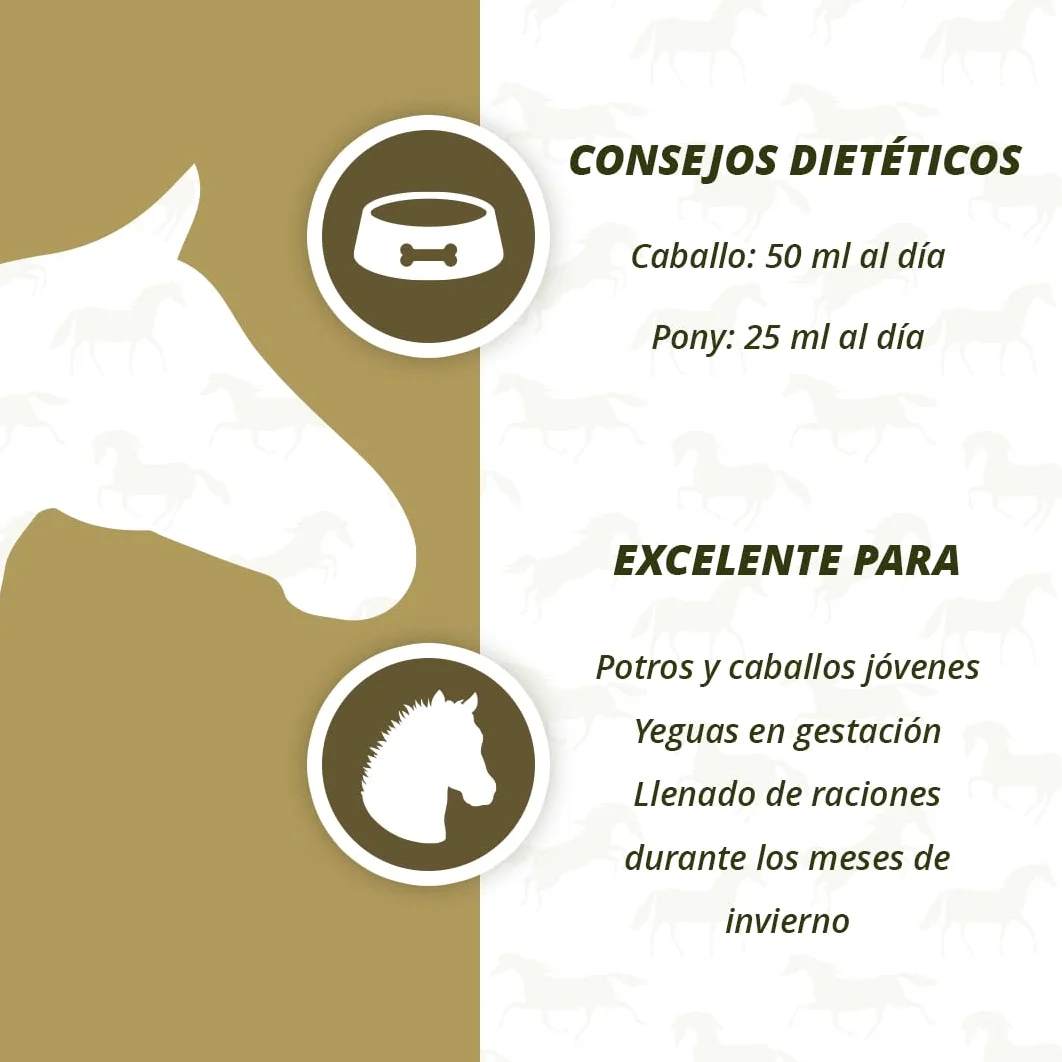 EXCELLENT Suministros Para El Cuidado De La Salud Aceite De Hígado