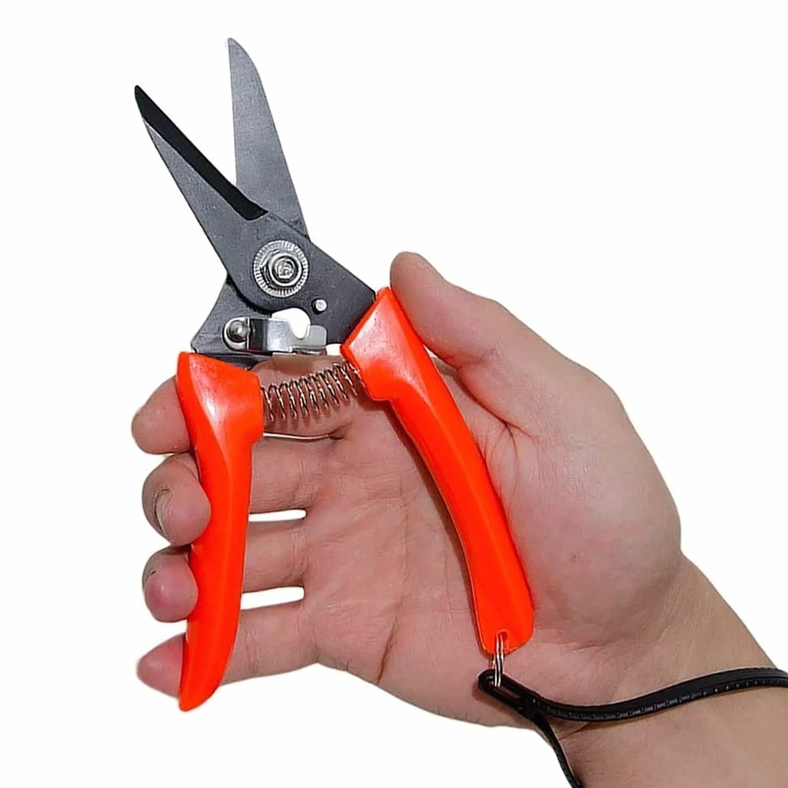 Herramientas para recortar cascos de caballos,Reco Foot Rot Shears Multiusos Cabra Oveja Alpaca Hoof Trimmers, Pig Hoof Trimmer Multiusos Twig y Floral Trimming Shears for Garden (Color:red) ( Color :