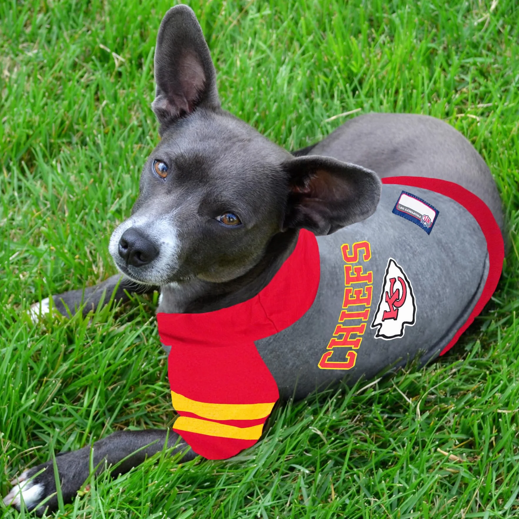 Pets First KCC-4044-XS NFL Kansas City Chiefs Sudadera con Capucha para Perros y Gatos, XS
