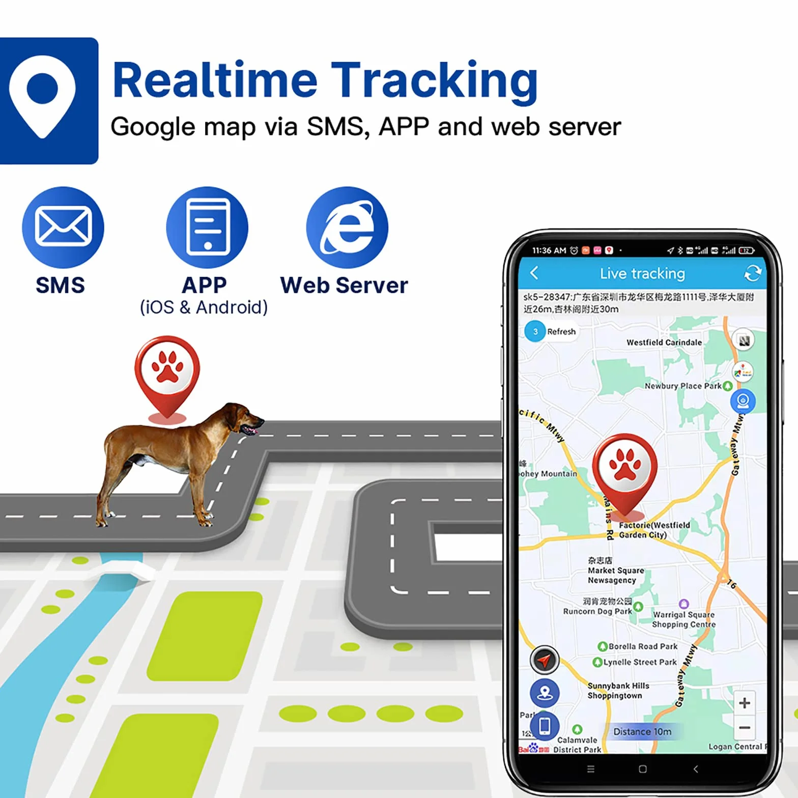 Rastreador De Animales, Rastreador GPS De Ganado, Caballos Y Camellos, Batería De Litio De 6000 MAh, Seguimiento Histórico, Posicionamiento En Tiempo Real, Configuración De Rango