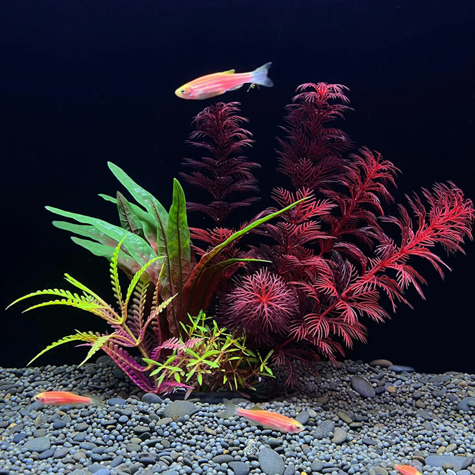 Adornos Artificiales de plástico for Plantas acuáticas, Accesorios simulación for pecera, 3 Piezas C
