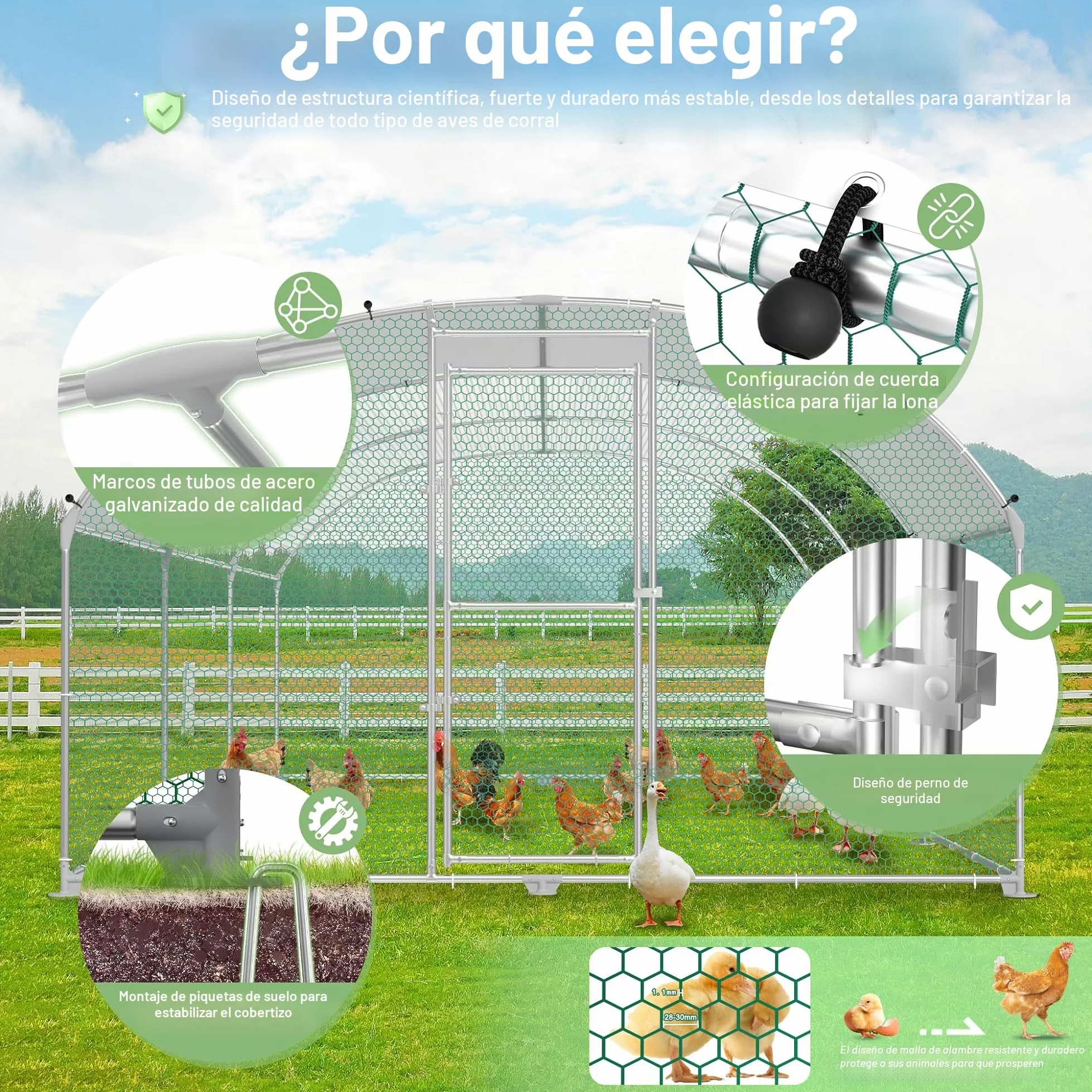 Jaula para gallinas y gallinero, de metal galvanizado, 3 x 8 m, resistente al invierno, con techo solar y cerradura, para animales pequeños y aves de corral