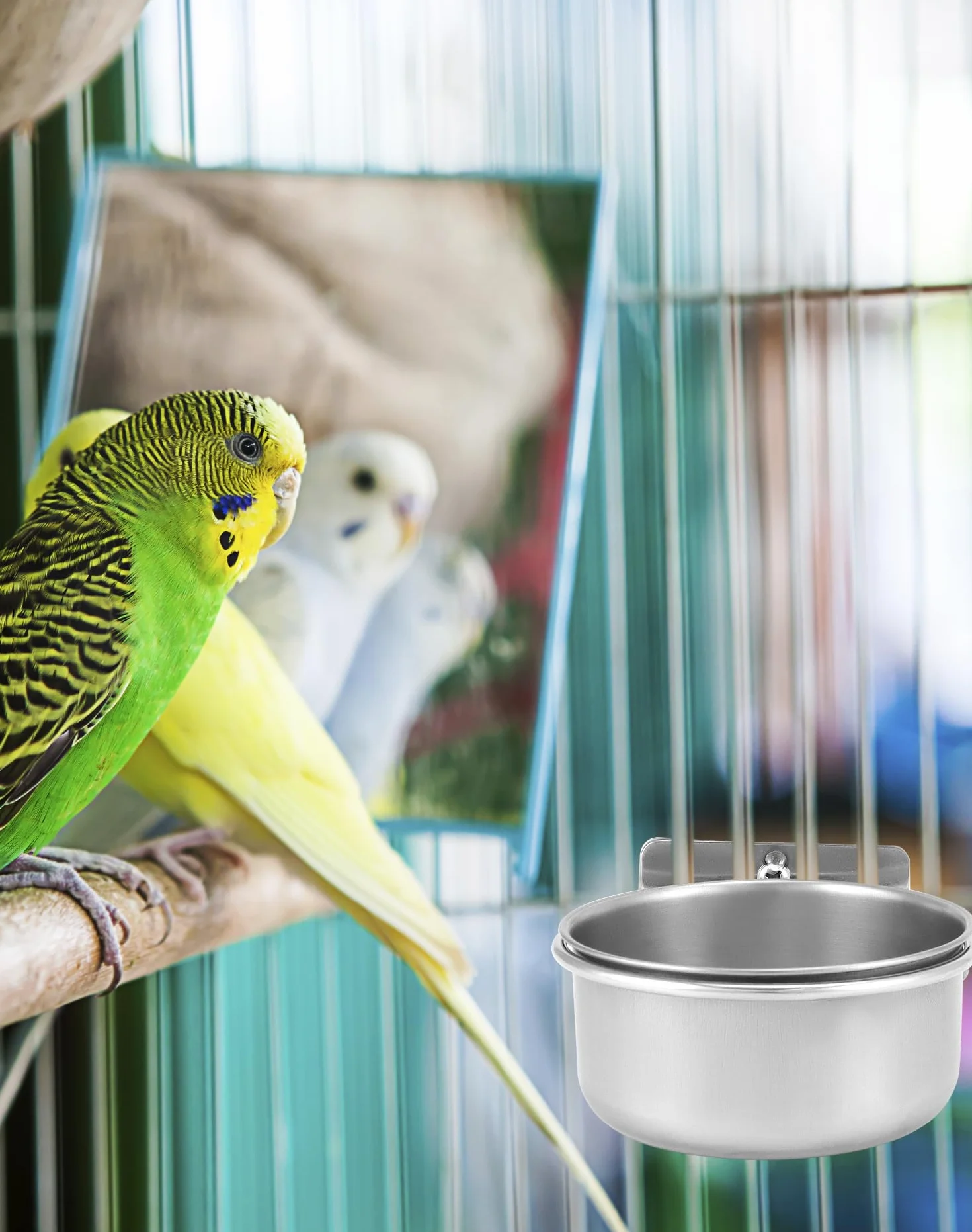 QWORK® Juego de 2 Cuencos Pájaros Jaula, Comedero Pajaros de Acero Inoxidable, Accesorios para Loros y Mascotas Pequeñas (10X4,5 cm)