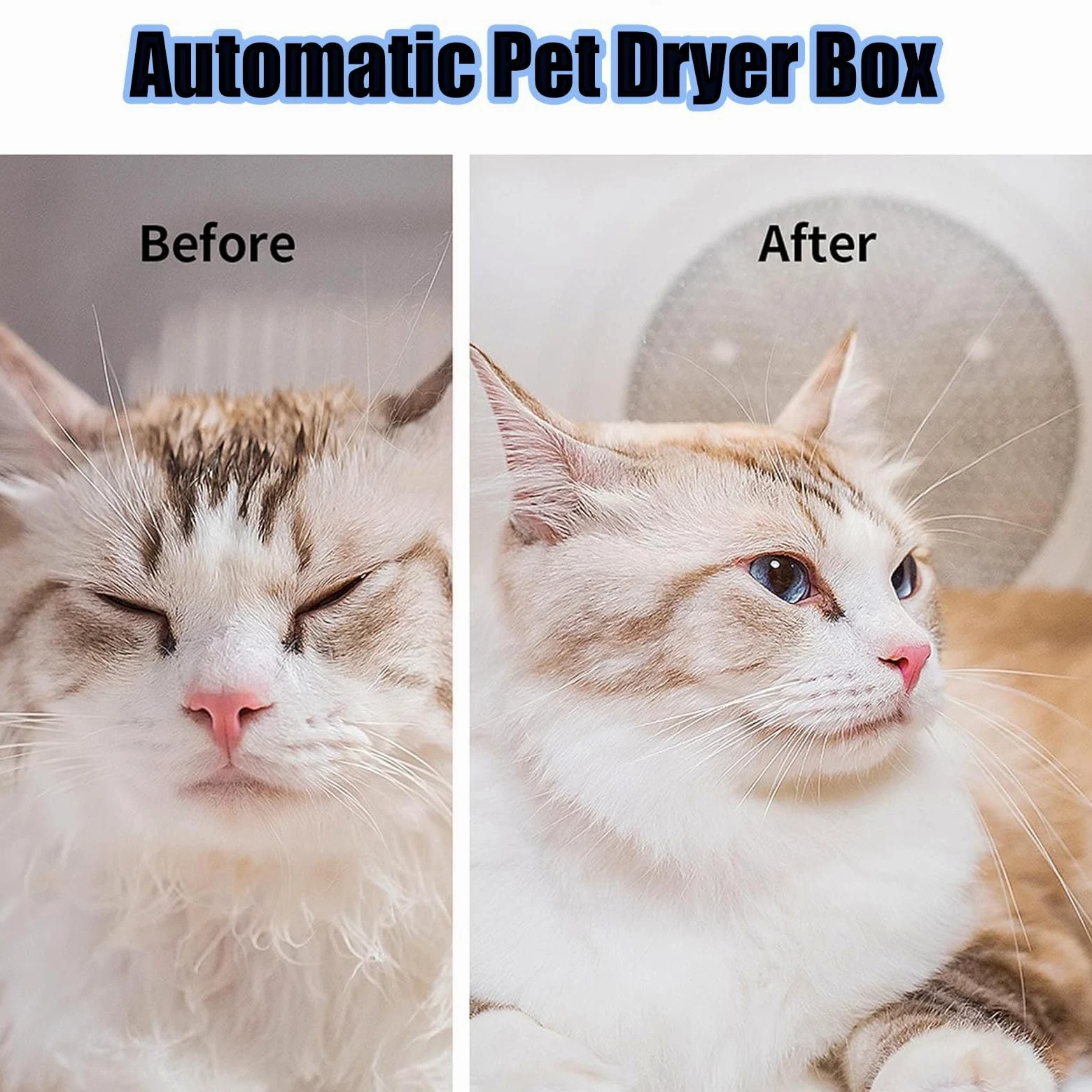 Secador automático para Mascotas para Gatos y Perros pequeños, Caja Secadora para Mascotas Ultra silenciosa con Control de Temperatura y Tiempo Ajustable
