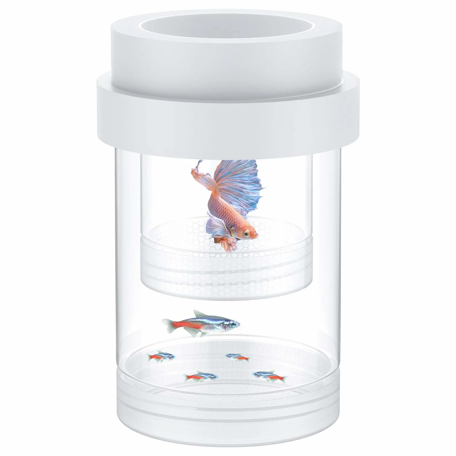 Pawfly Caja de Cría para Acuario, Pecera de Reproducción Flotante para Guppys, Separador para Alevines, Incubadora de Plástico para Camarones, Betta y Pez Payaso, Mediana