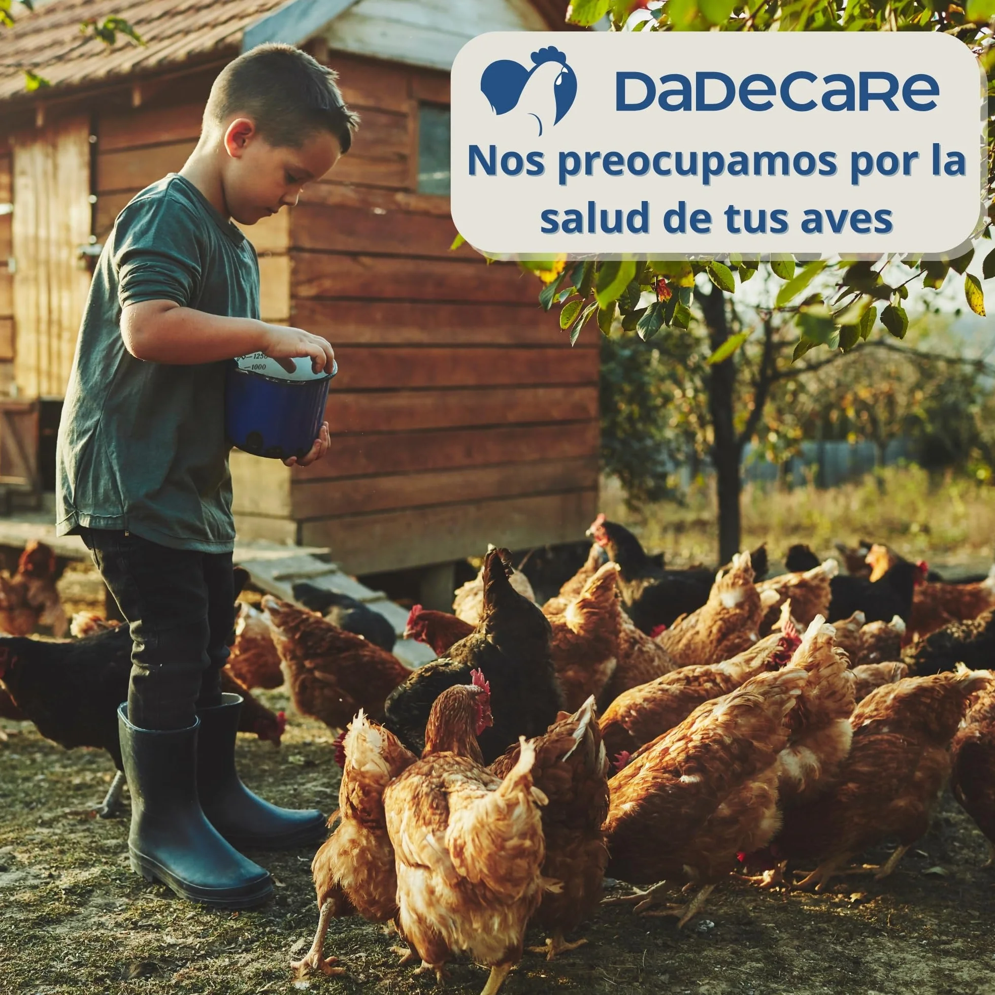 Preventivo Parasitos Internos Natural 250 ml - Gallinas, Aves de Corral y Exóticas - Previene y Trata Problemas digestivos - Fórmula Natural - Extracto de Ajo y Oregano - Inncare