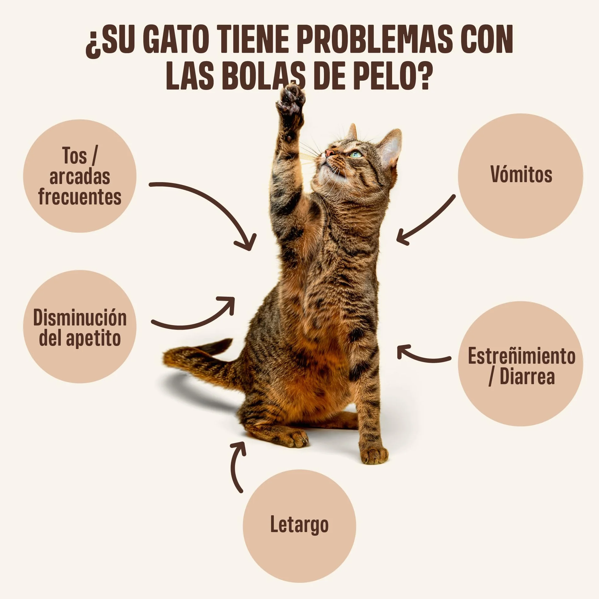 ivvi Anti Bolas de Pelo para Gatos – Anti-Hairball Esencia Crema Funcional con Malta, Olmo Rojo, inulina y psyllium – Ayuda a Eliminar Bolas de Pelo – 30x15g – con atún Real